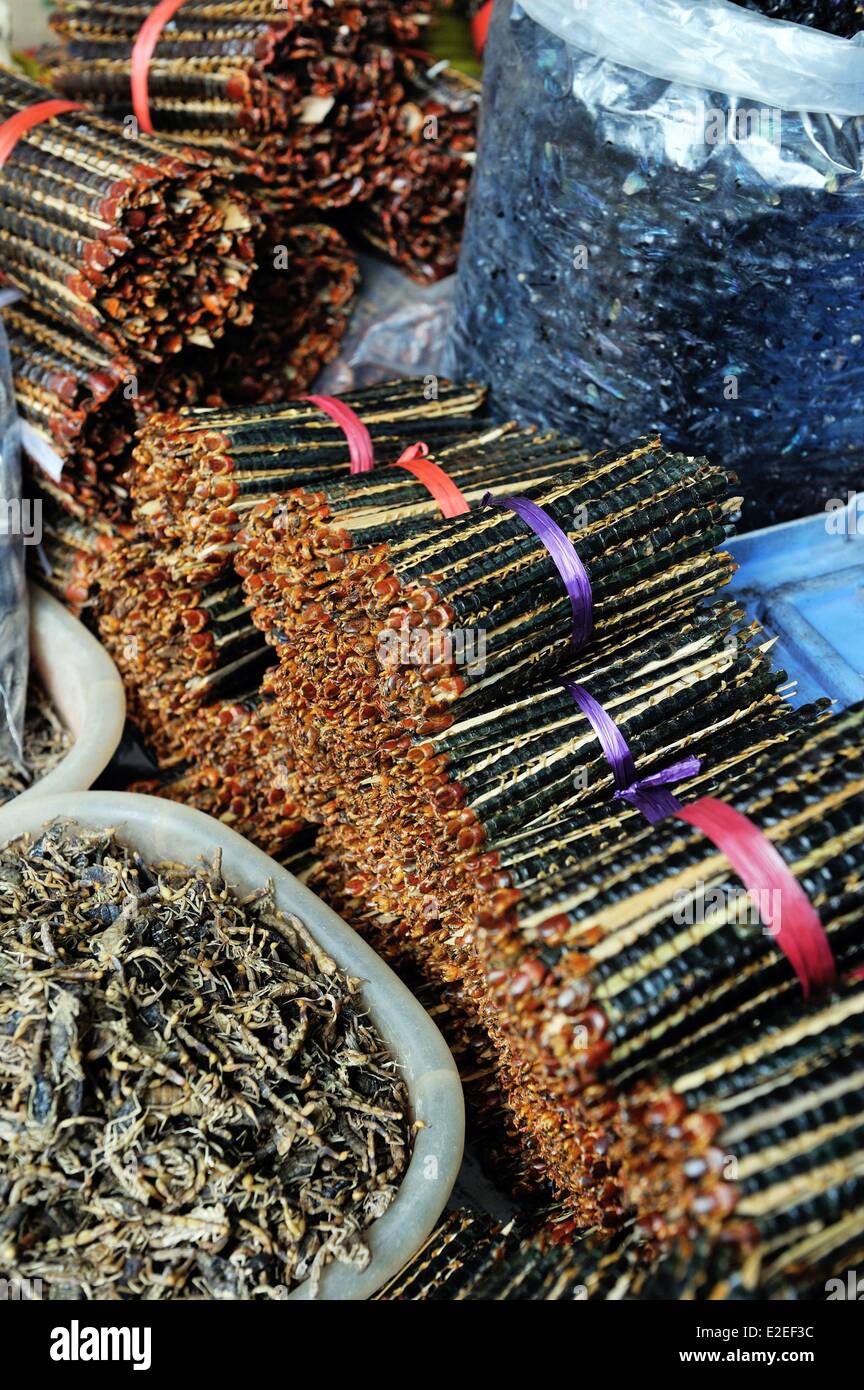 La Cina, nella provincia di Guangdong, Guangzhou, mercato Qingping, essiccato Centipede Foto Stock