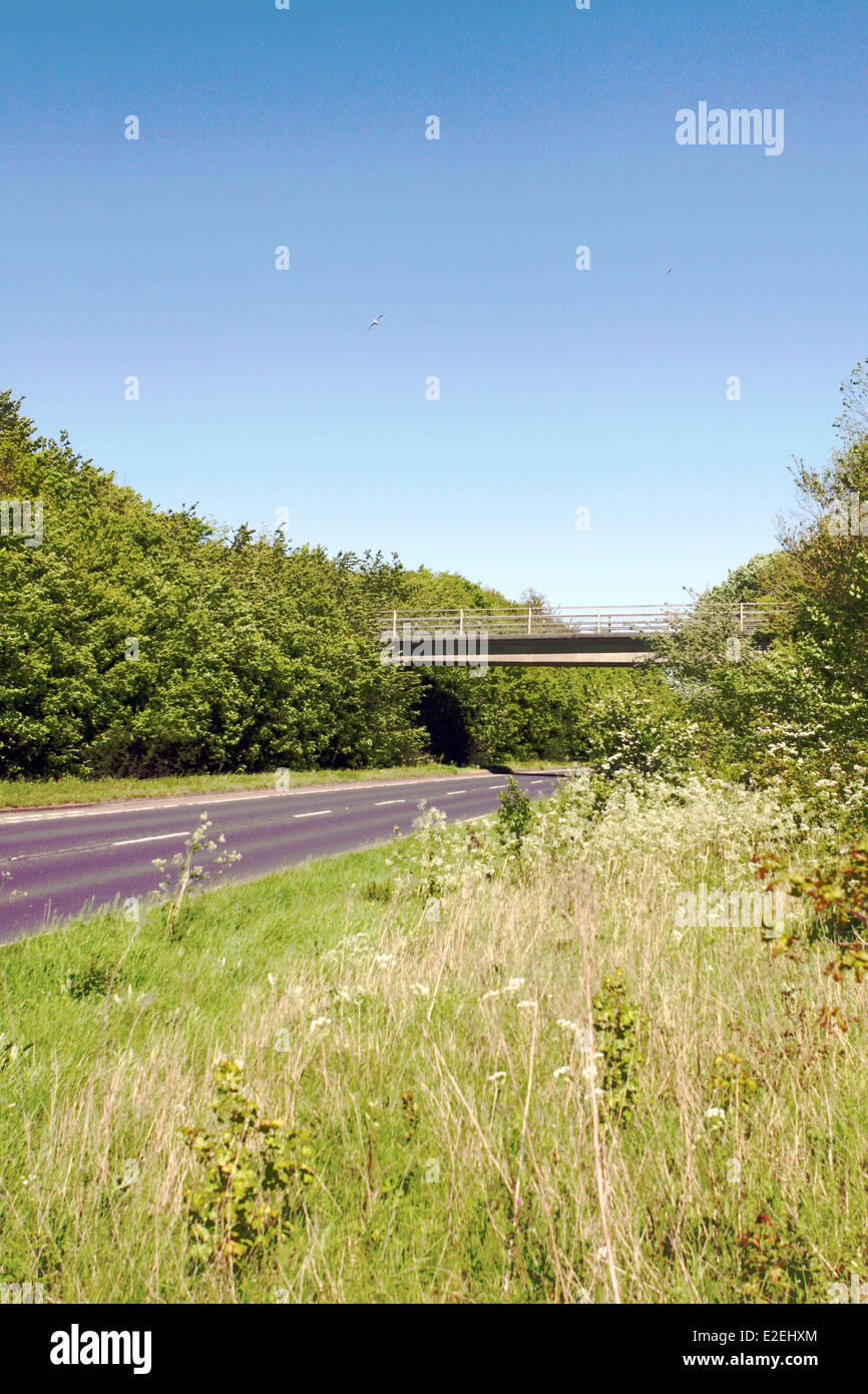 Una vista rurale dell'A28 a carreggiata unica strada vicino a Ashford in Kent, Inghilterra Foto Stock