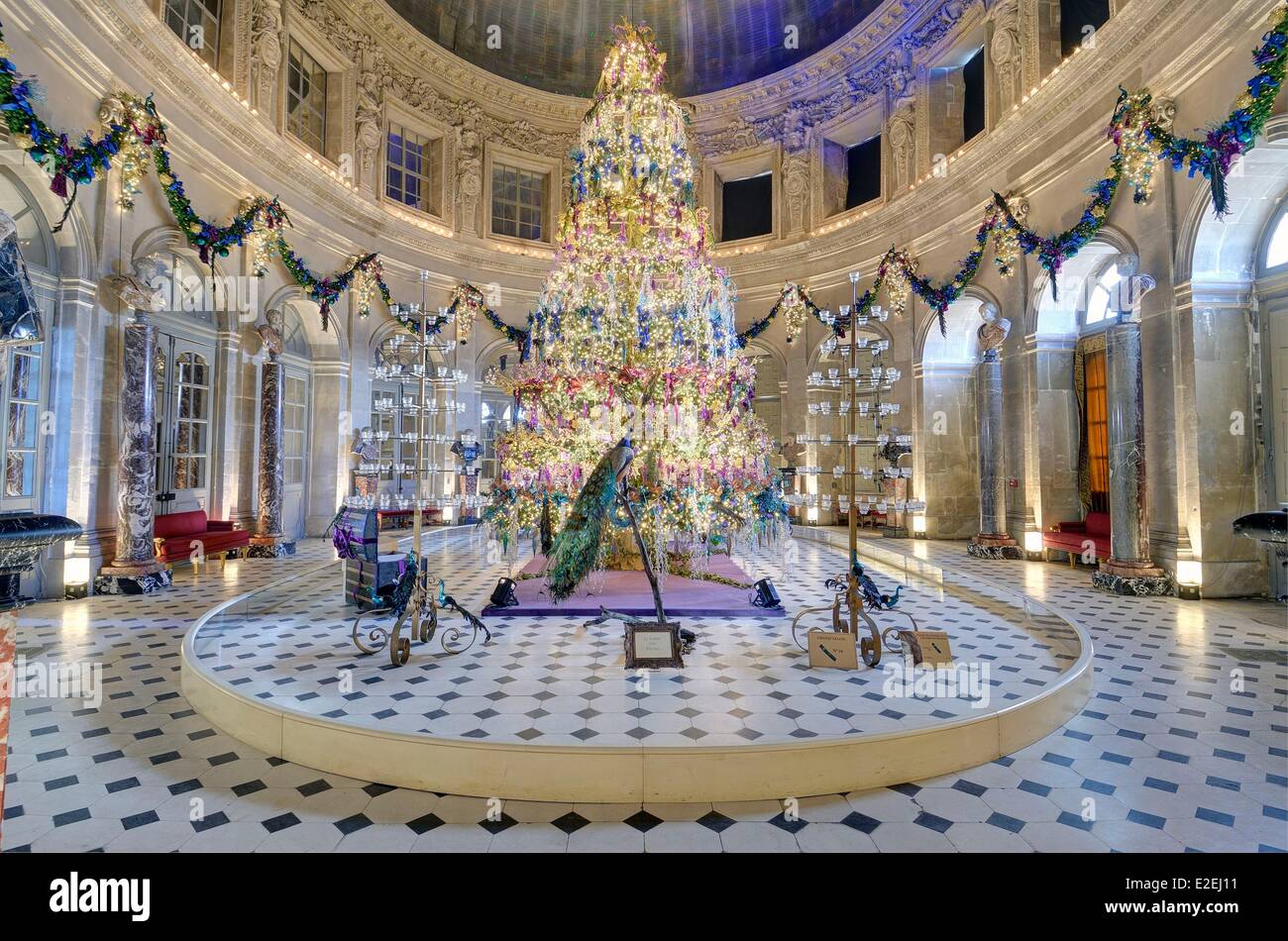 Francia, Seine et Marne, Maincy, il castello di Vaux le Vicomte, la sala ovale e le sue decorazioni di Natale Foto Stock