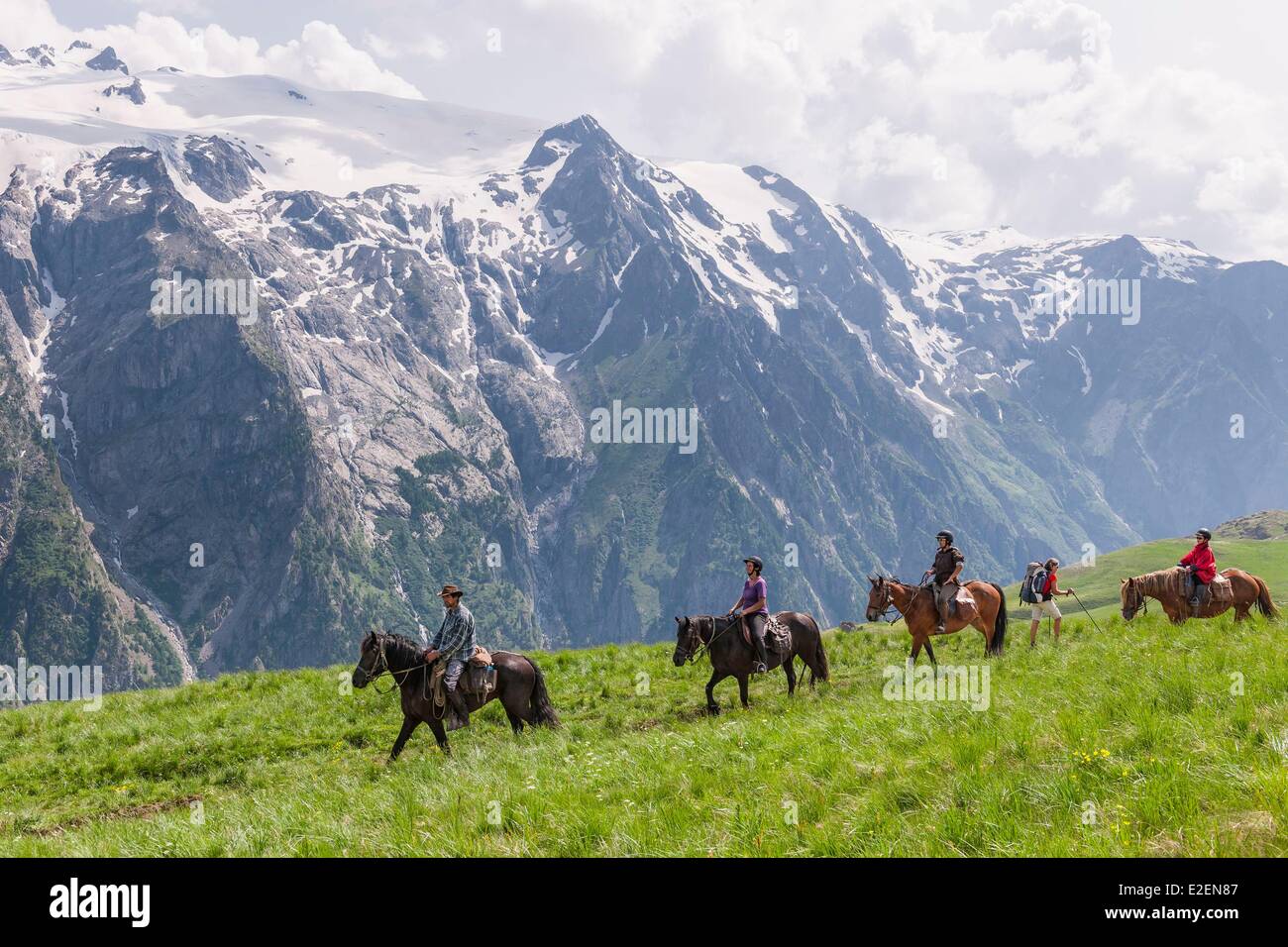 Francia, Hautes-Alpes, Oisans massiccio, cavallo al plateau d'Emparis davanti a La Meije nel massiccio degli Ecrins Foto Stock