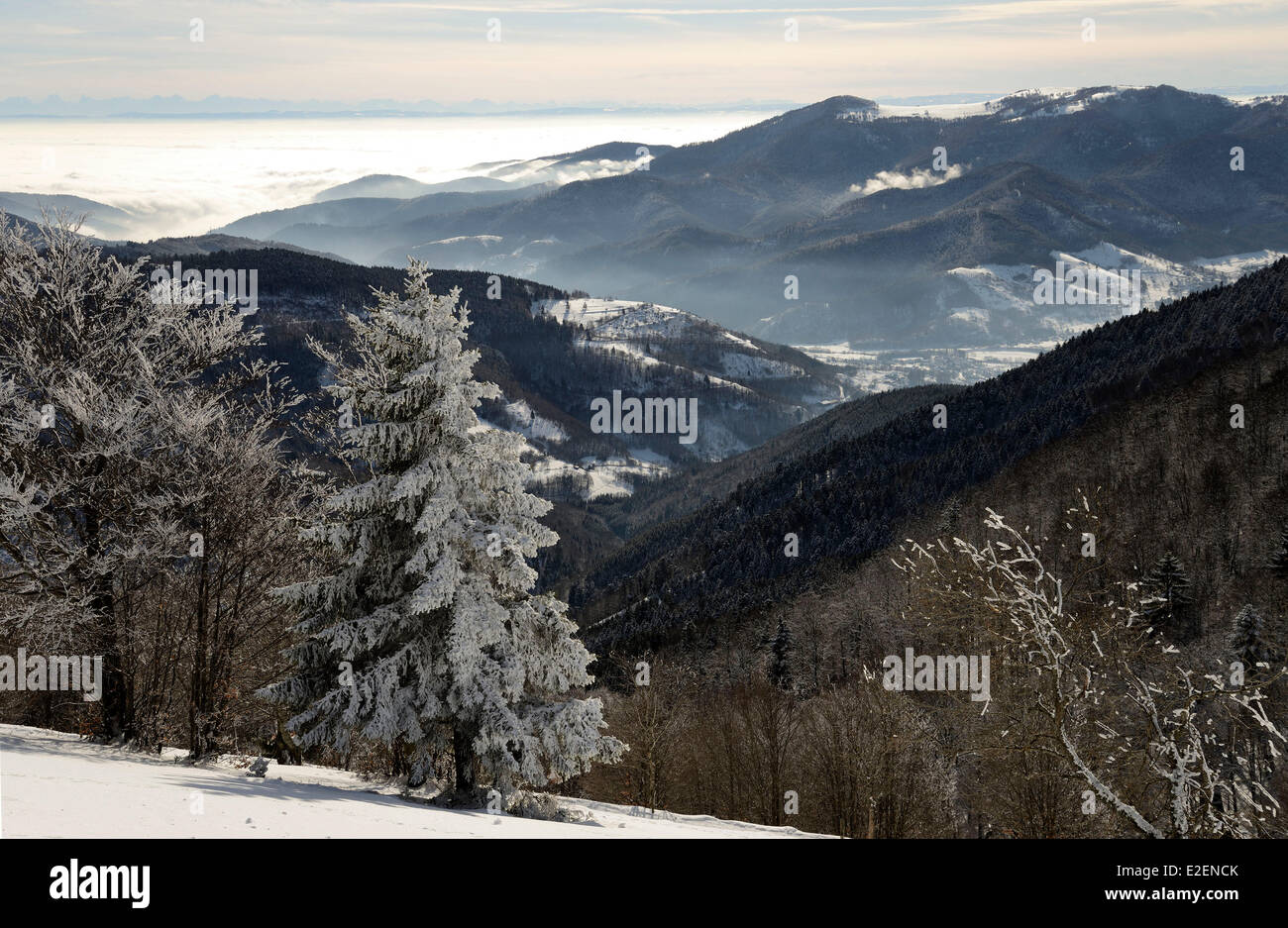 Francia Haut Rhin Hautes Vosges poiché Markstein Haute gio valley Rossberg Alsazia pianura sotto le nuvole Giura svizzero e Alpi bernesi Foto Stock