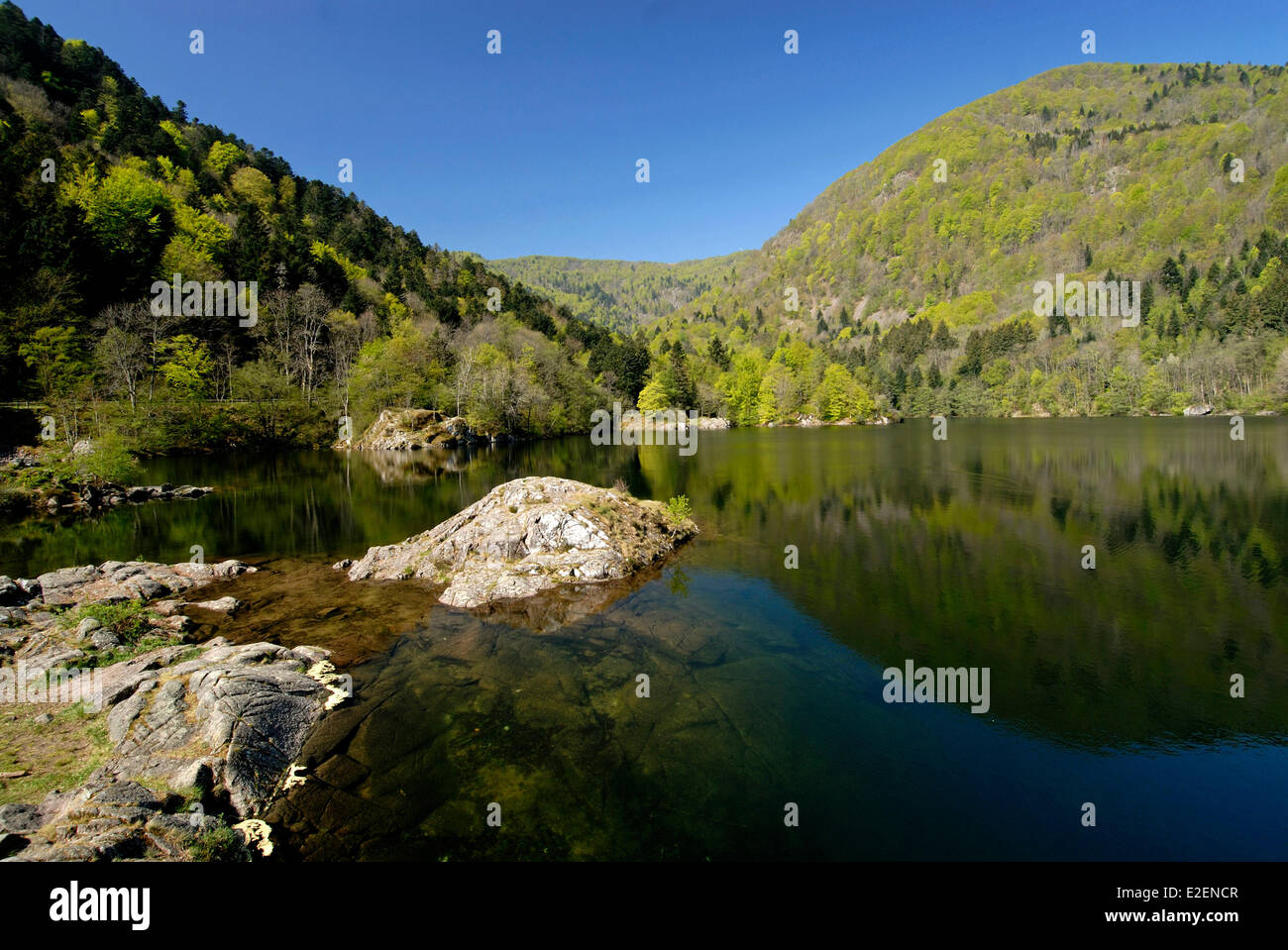 Francia, Haut Rhin, Sewen, Alfeld lago ai piedi del ballon d'Alsazia Foto Stock