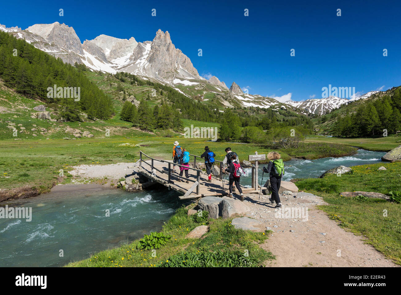 Francia, Hautes-Alpes, Nevache, Vallee de La Claree, vista la Pointe des Cerces (3097m) Foto Stock