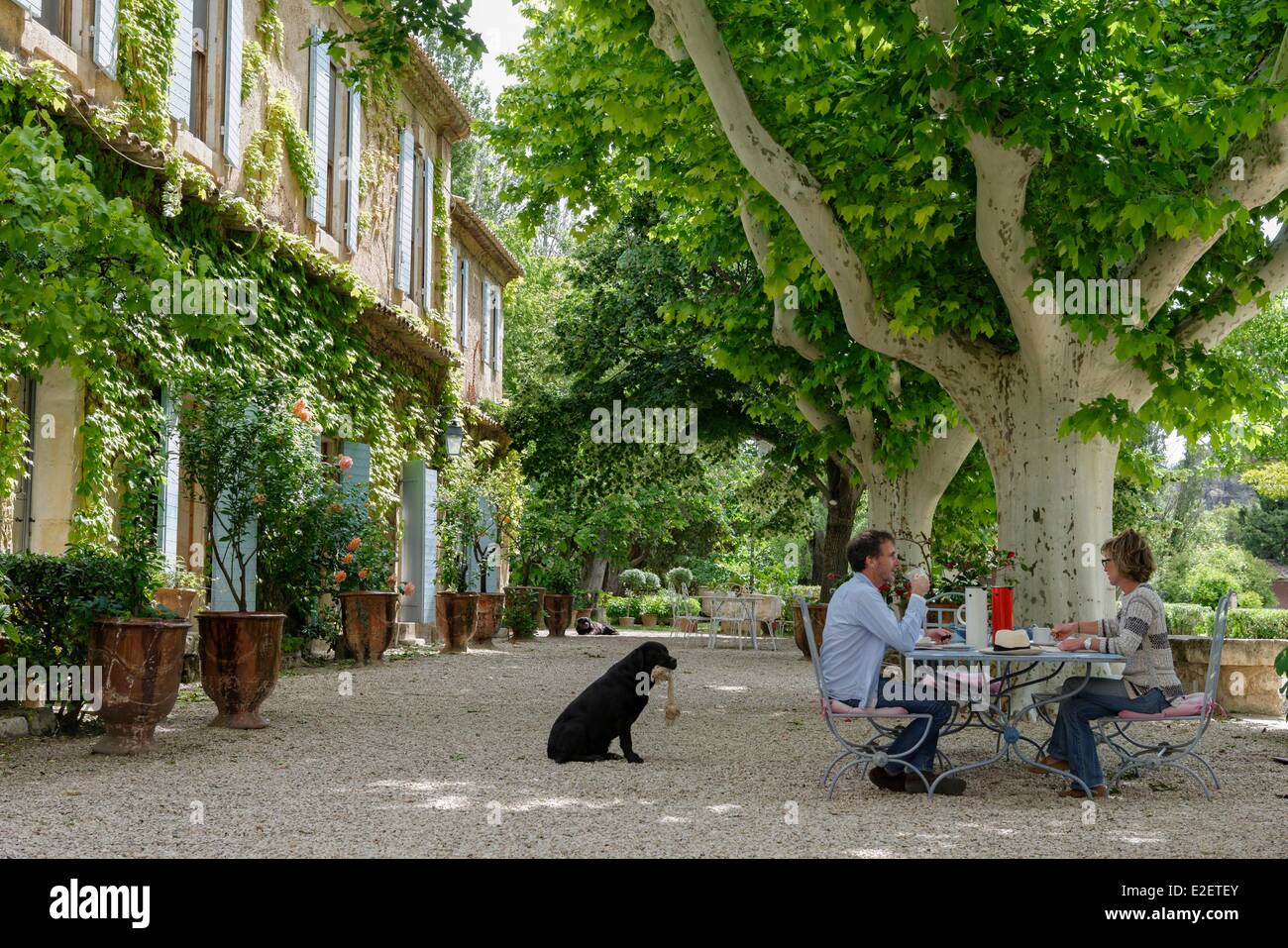 Francia Bouches du Rhone Maussane Les Alpilles Mas di Boutonnet giovane avente la colazione sotto i platani davanti a una proprietà Foto Stock