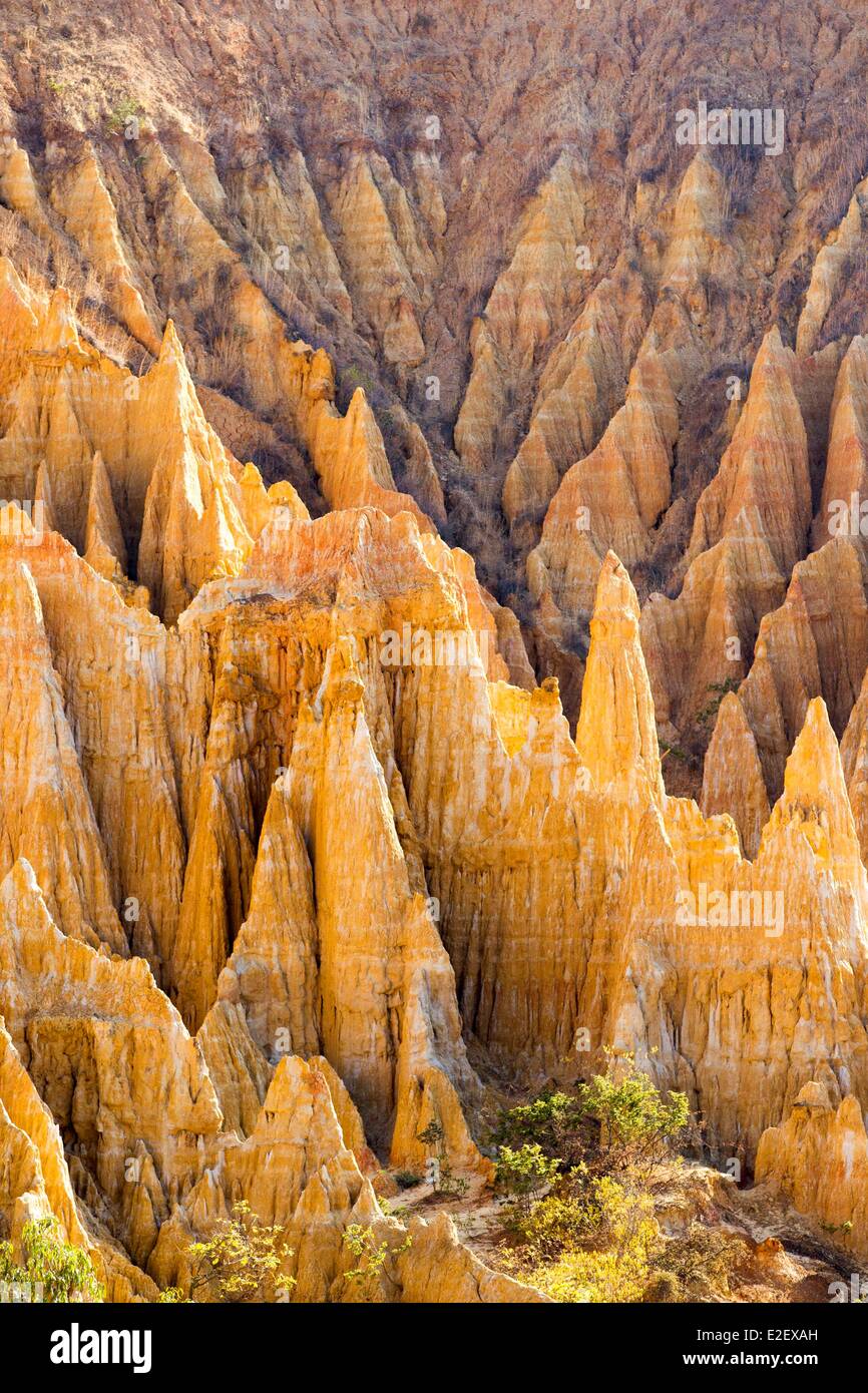 Cina Yunnan Yuanmou terra foresta Yuanmou di argilla è un luogo pittoresco classificati copre un area di ??50 km ▓ ed era Foto Stock