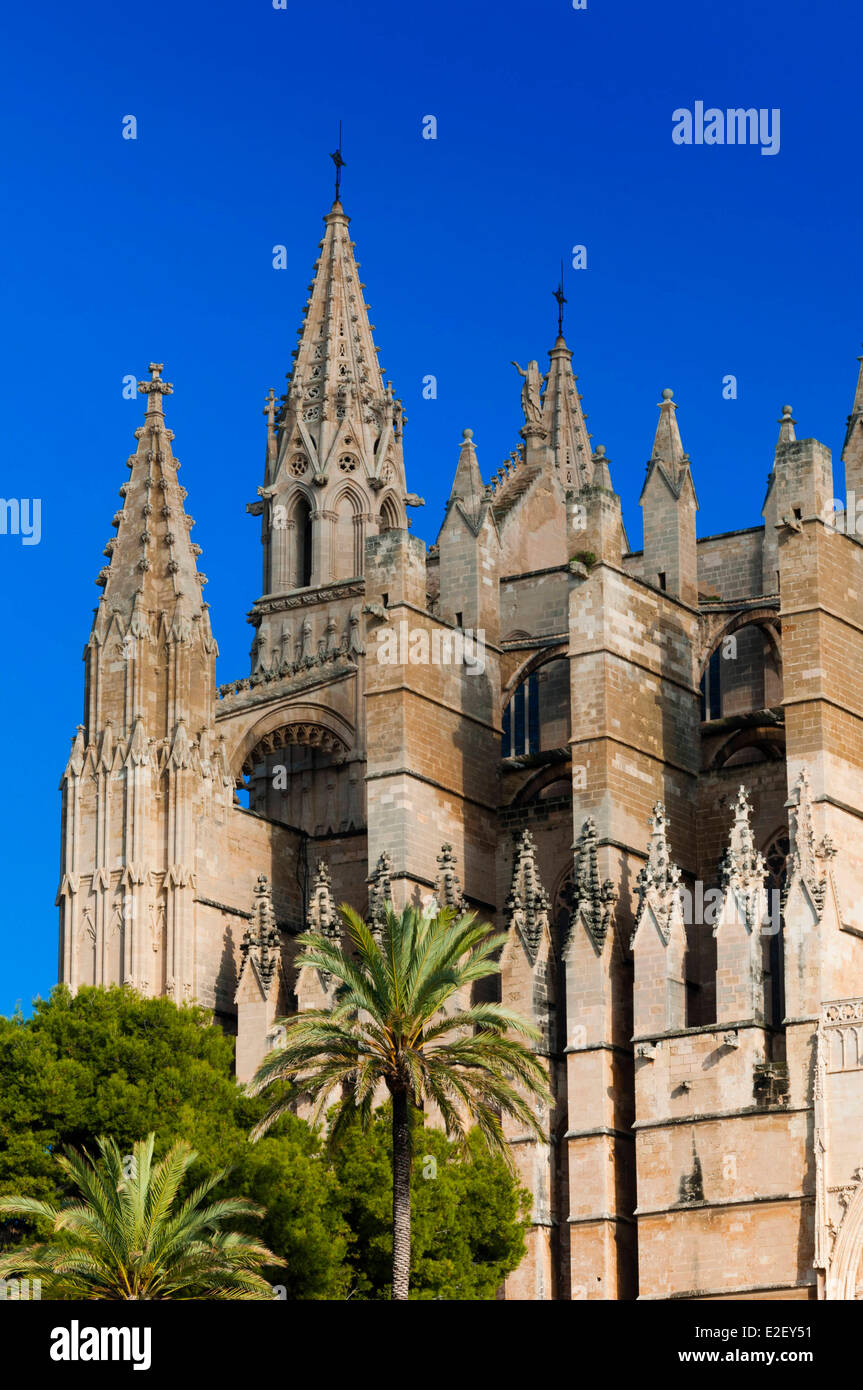 Isole Baleari Spagna, Mallorca, Palma de Maiorca, Cattedrale di Santa Maria di Palma, più comunemente conosciuta come La Seu Foto Stock
