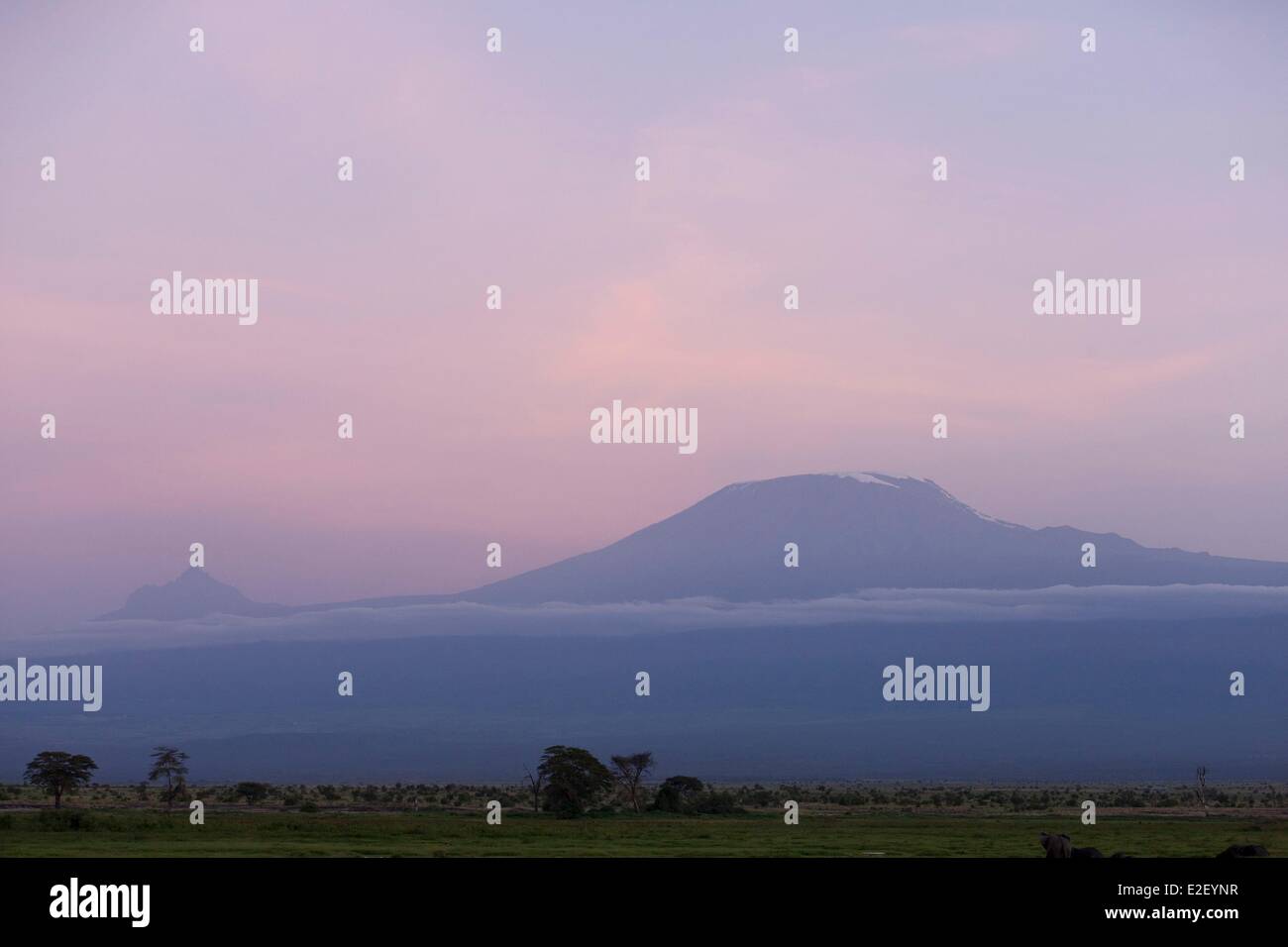 Kenya, Amboseli National Park, all'alba, Mount Kilimandjaro al crepuscolo Foto Stock