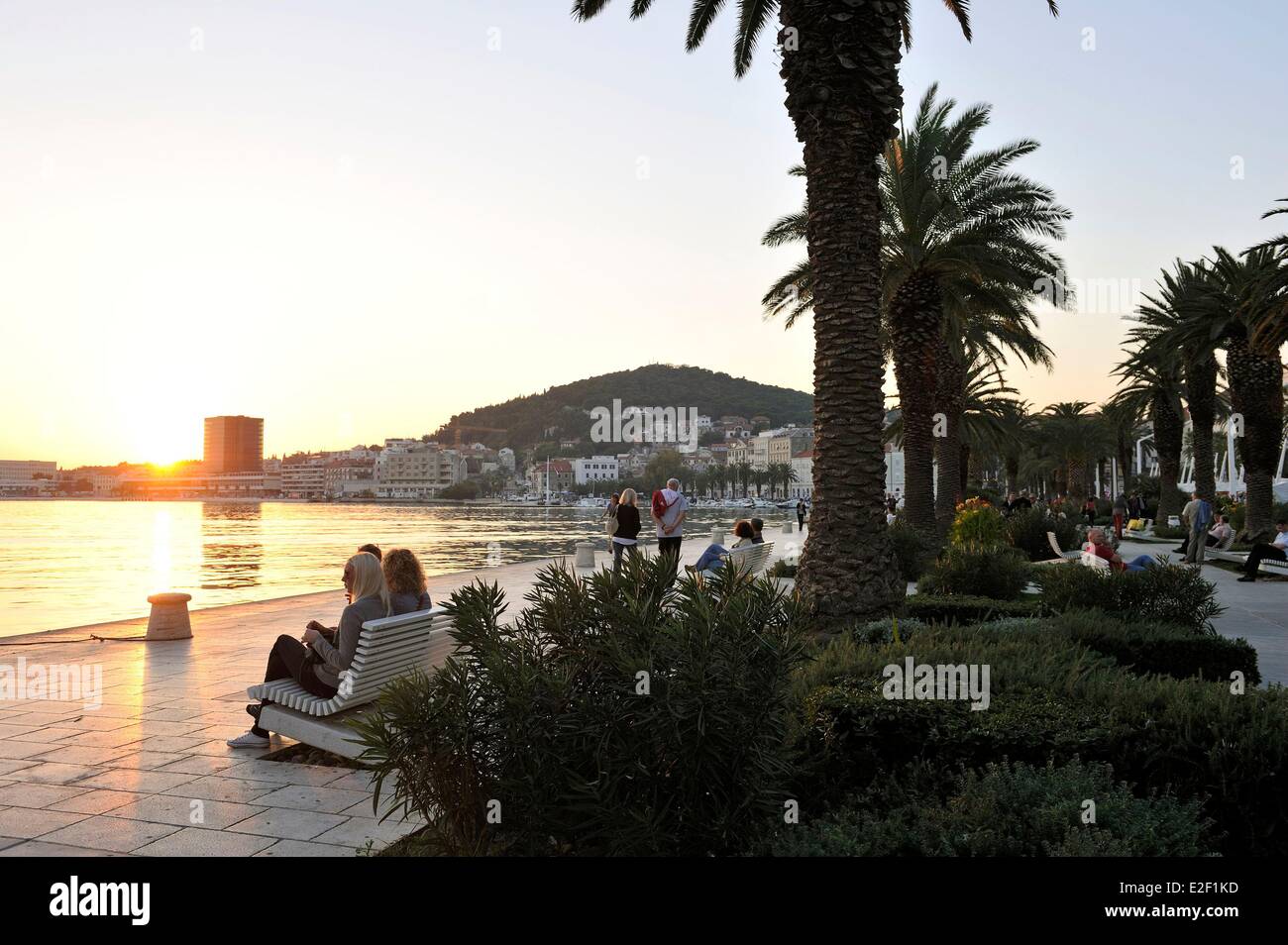 Croazia costa dalmata Split vecchia città romana sono classificati come patrimonio mondiale dall' UNESCO e Riva (o lungomare) rivestiti con palm Foto Stock