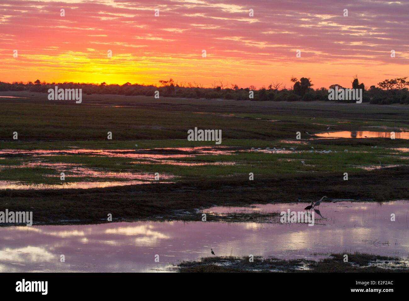 Il Botswana, Chobe National Park, Alba sul fiume Chobe Foto Stock