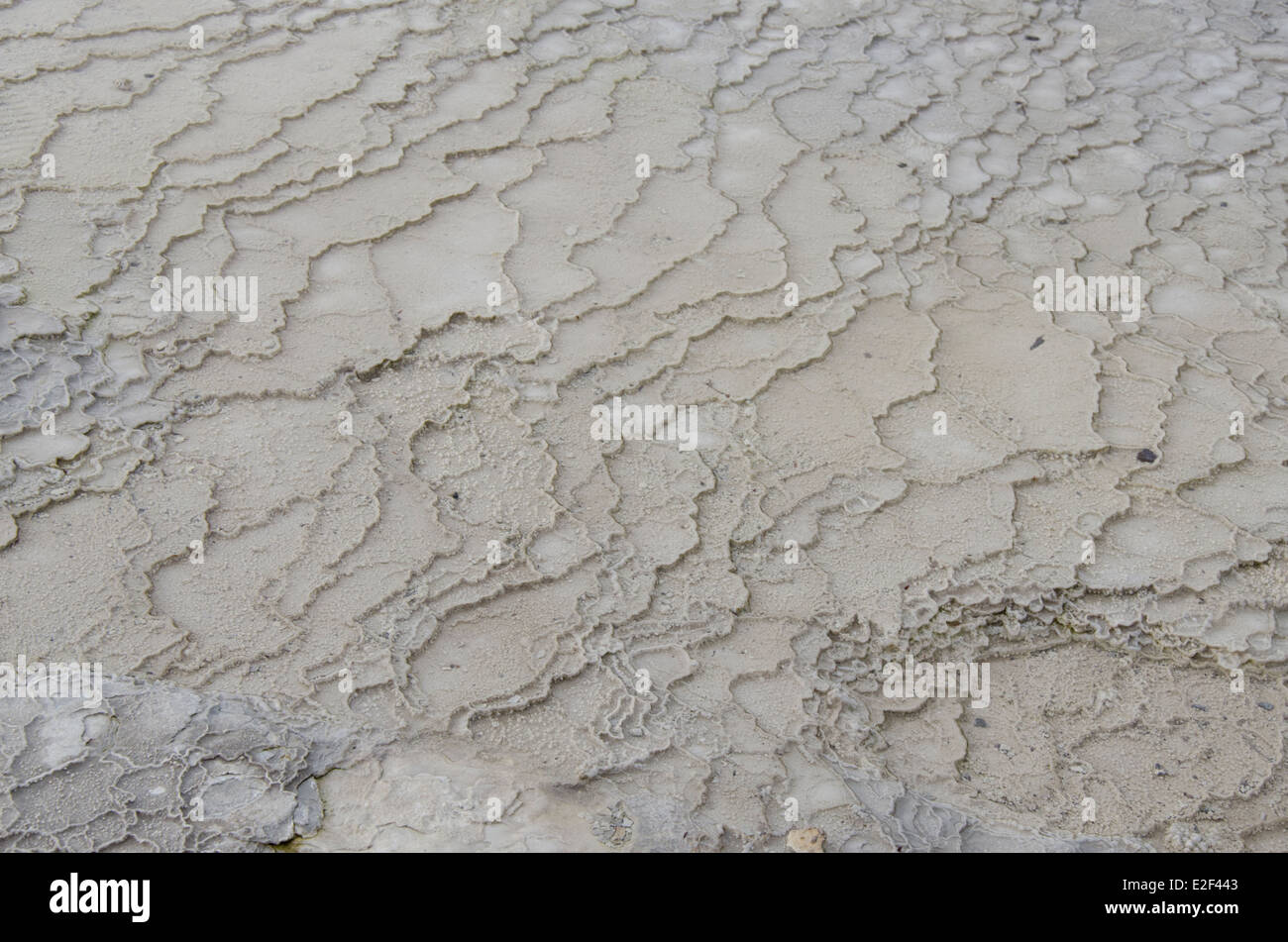 Nuova Zelanda, Isola del nord, Rotorua, Taupo zona vulcanica. Waiotapu parco geotermico. Dettaglio di fango caldo & formazione di minerali. Foto Stock