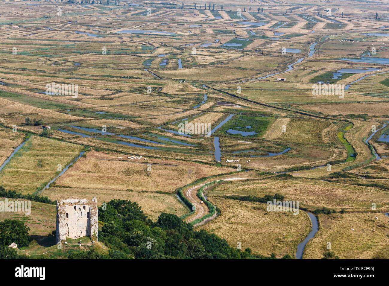 Francia, Charente Maritime, Saint Sornin, Tour de Broue, mastio prima le paludi (vista aerea) Foto Stock