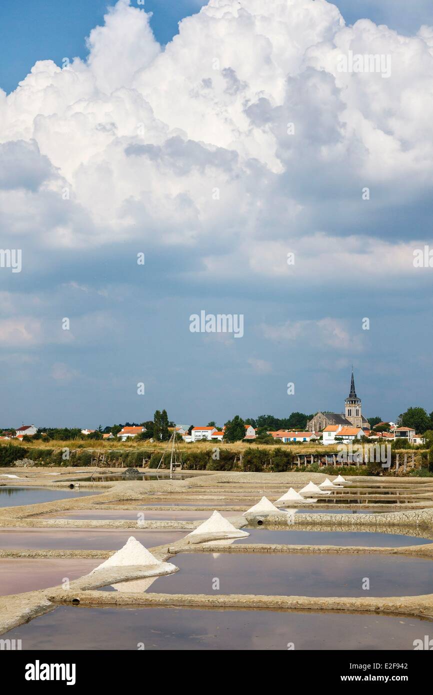 Francia, Vendee, l'Ile-d'Olonne, sale nelle paludi e il villaggio Foto Stock
