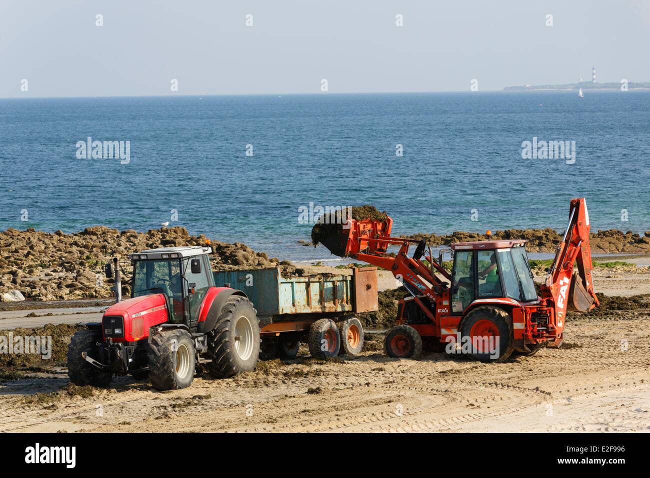 Francia, Charente Maritime, sito di smaltimento alghe sulle spiagge Foto Stock