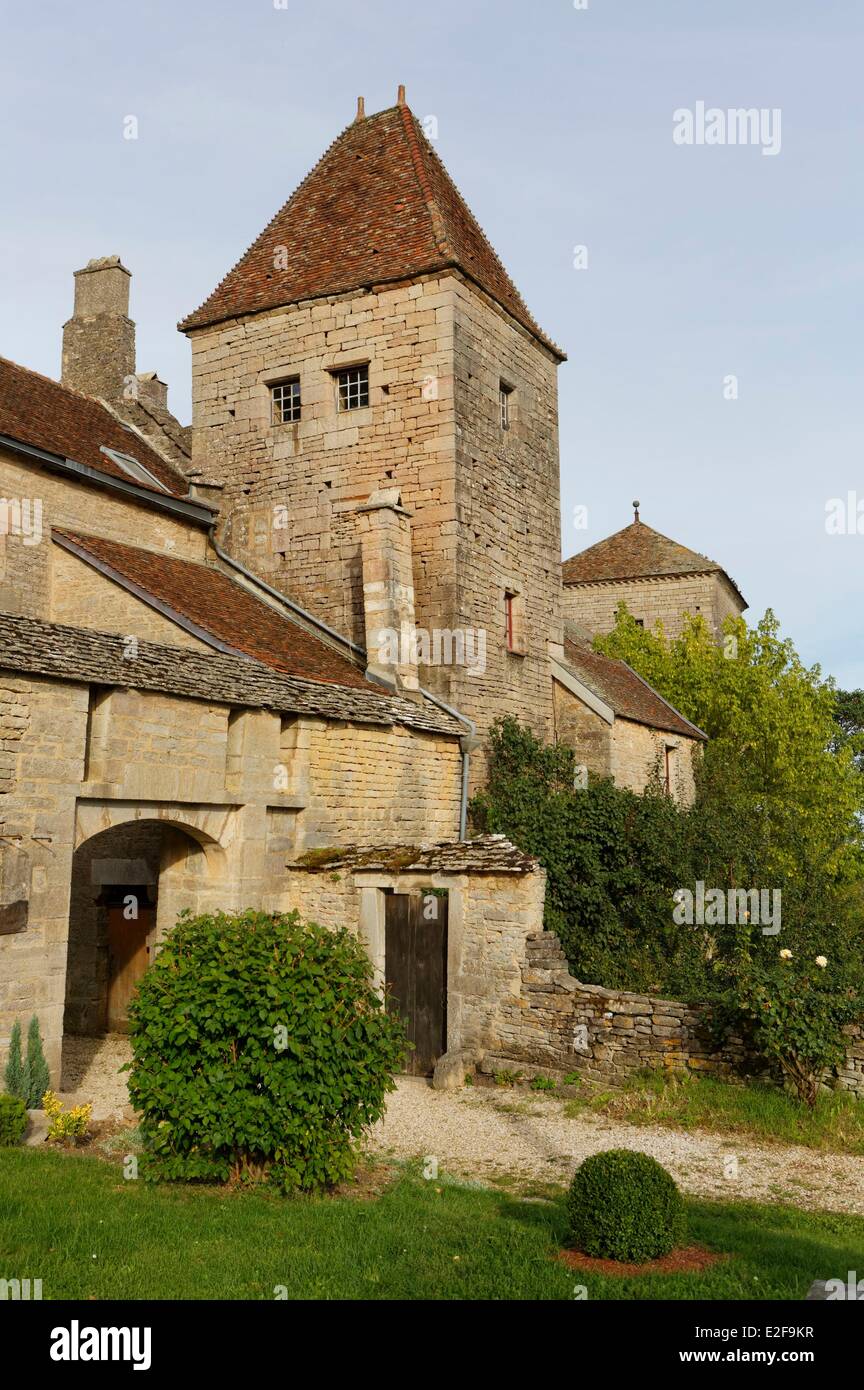 Francia, Cote d'Or, Gevrey Chambertin, Bourgogne Grand Cru, cote de Nuits vigna, castello Foto Stock