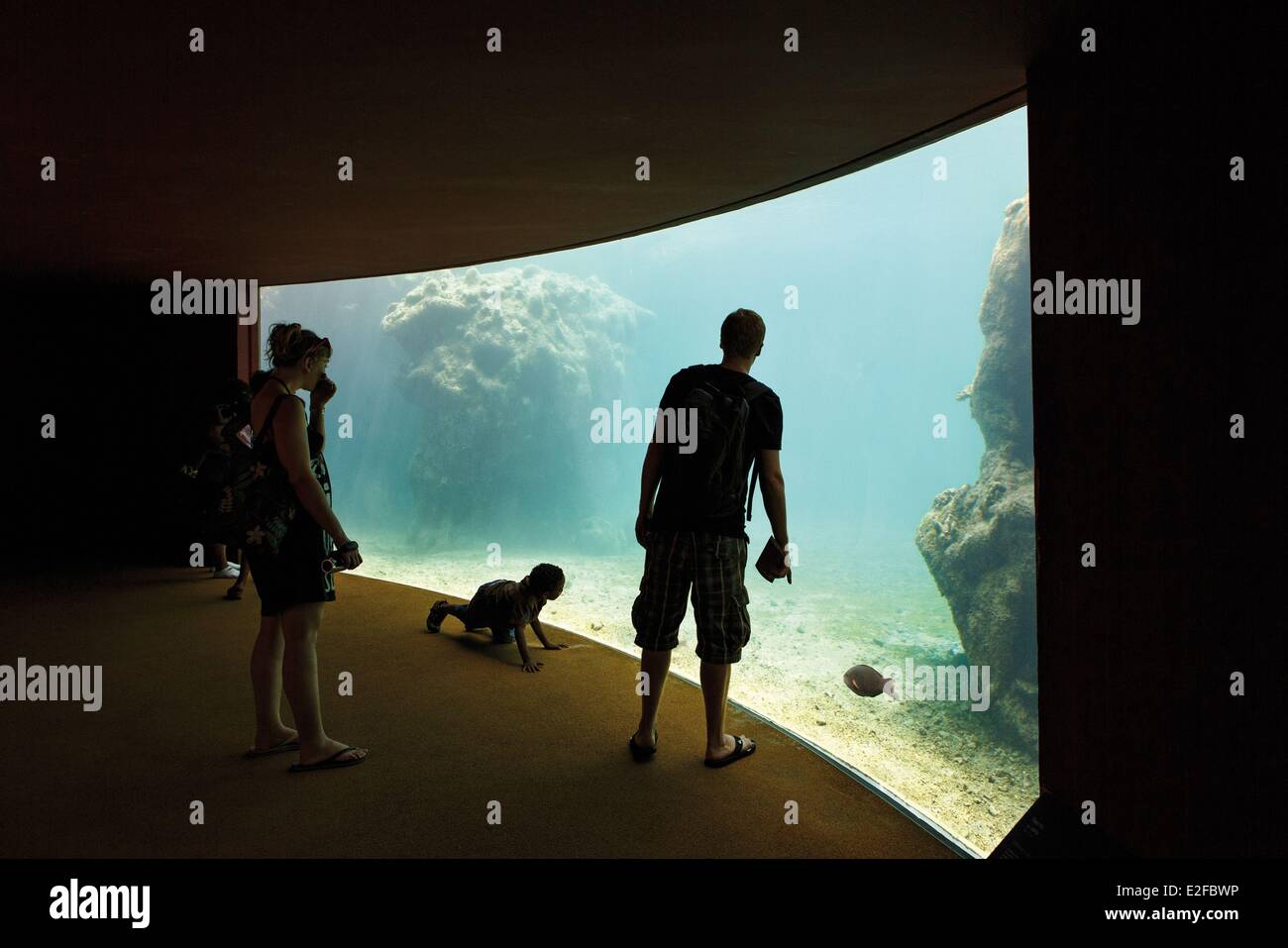Francia, isola di Reunion (dipartimento francese d' oltremare), Saint Leu, Kelonia, vista orizzontale di una famiglia di un acquario Foto Stock