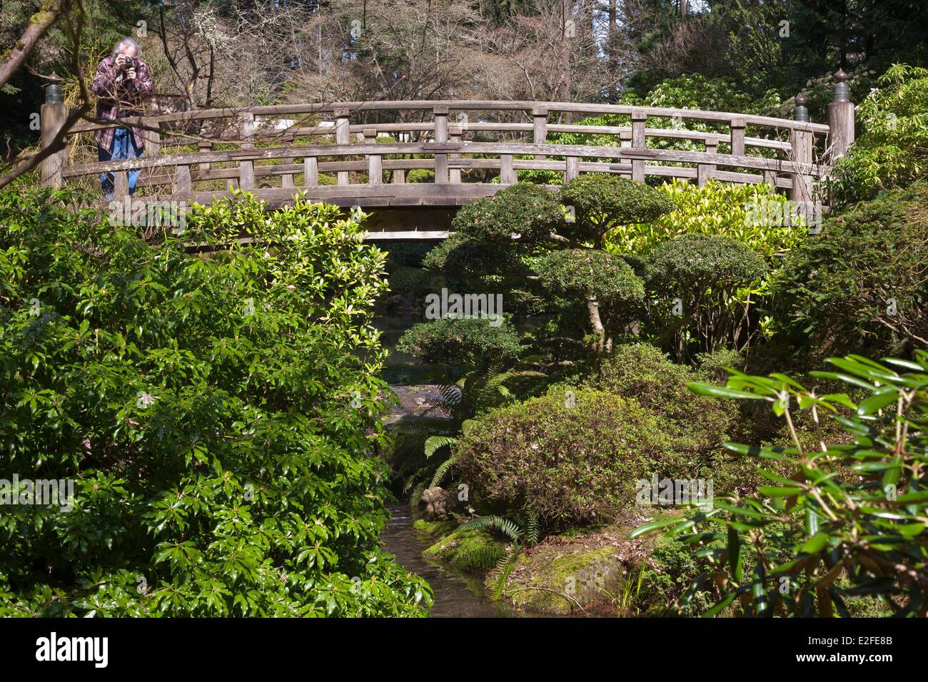 Stati Uniti, Oregon, Portland, Washington Park, giardino Giapponese progettato dal Professor Takuma Tono e aperto nel 1967 Foto Stock