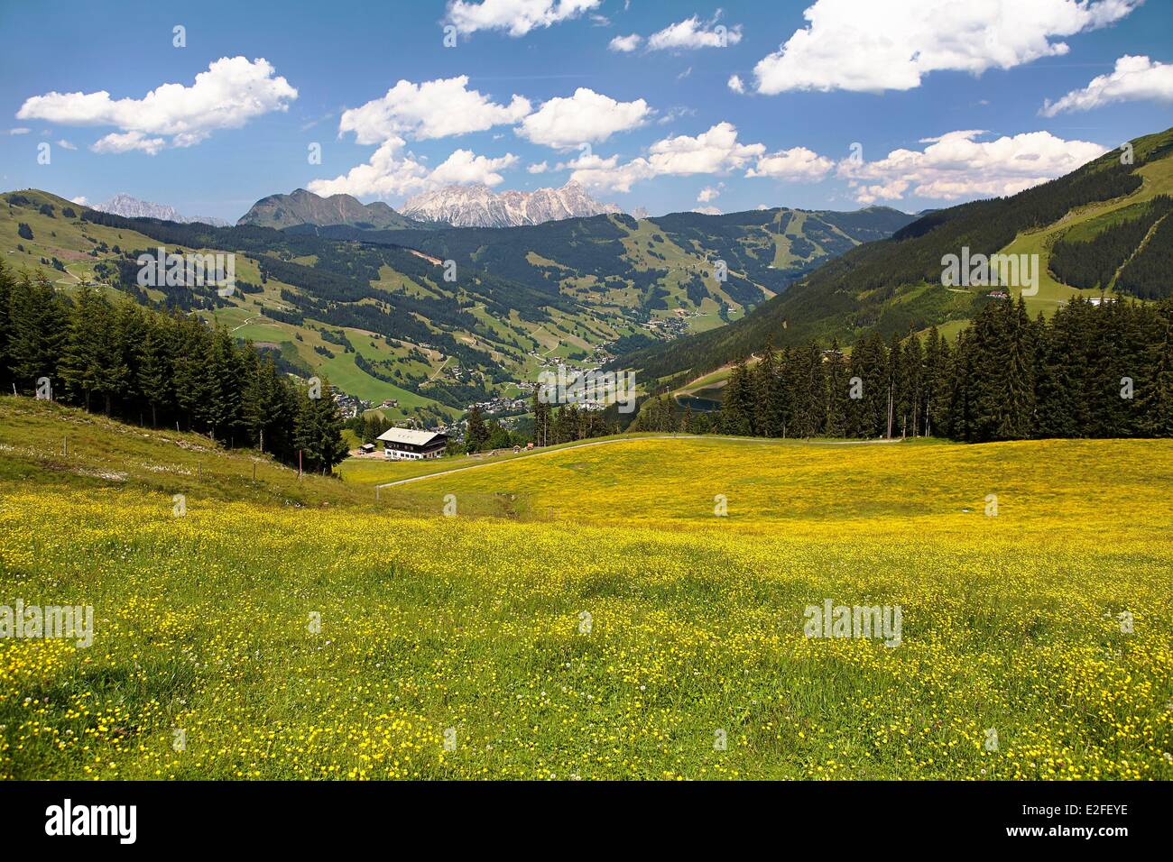 Austria, Land di Salisburgo, Kitzbuhel Alpi, Saalbach Hinterglemm, Saalbach Hinterglemm valley Foto Stock