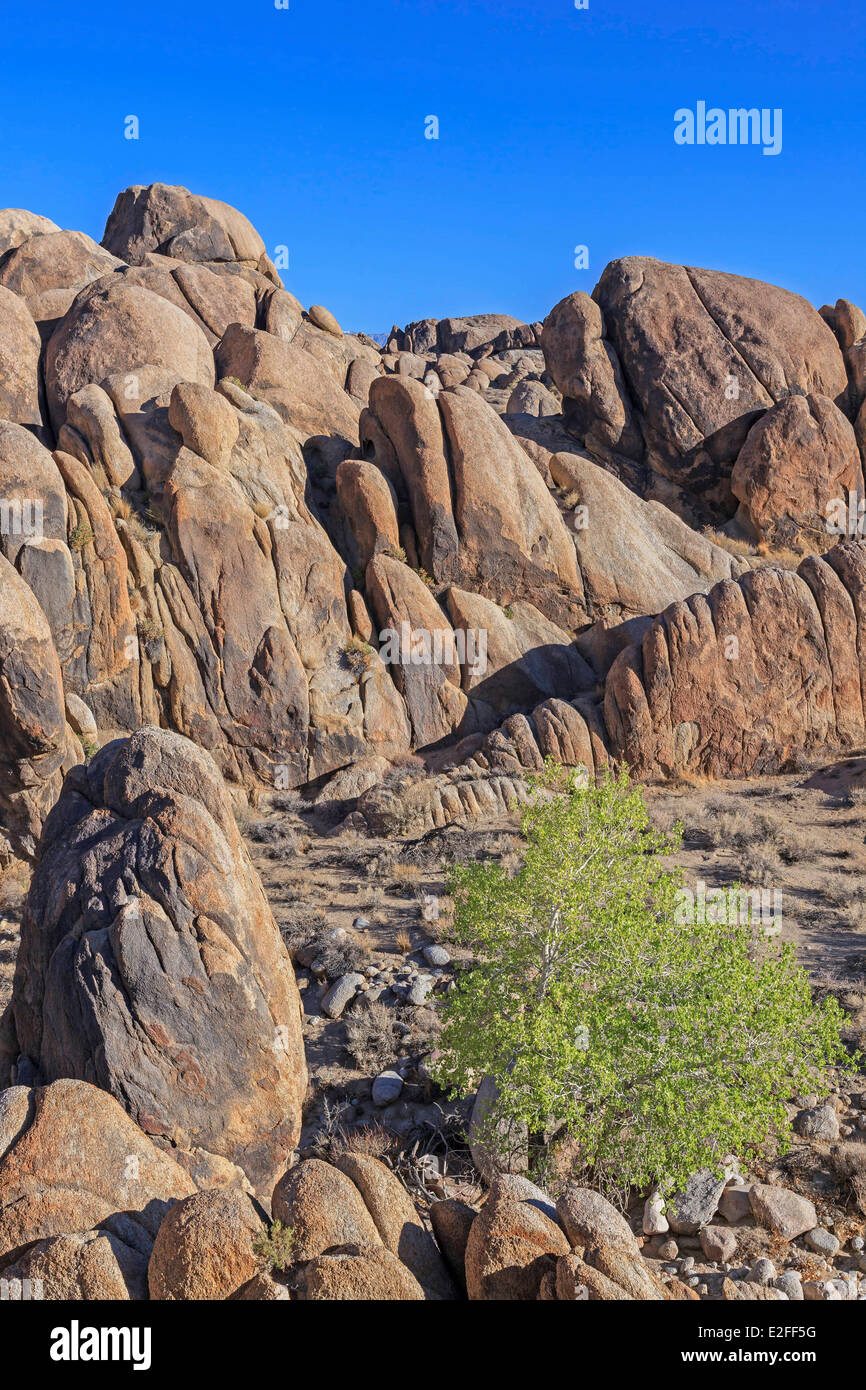 Stati Uniti California Inyo National Forest Sierra Nevada montagne colorate formazioni di roccia in Alabama sulle colline vicino a Lone Foto Stock