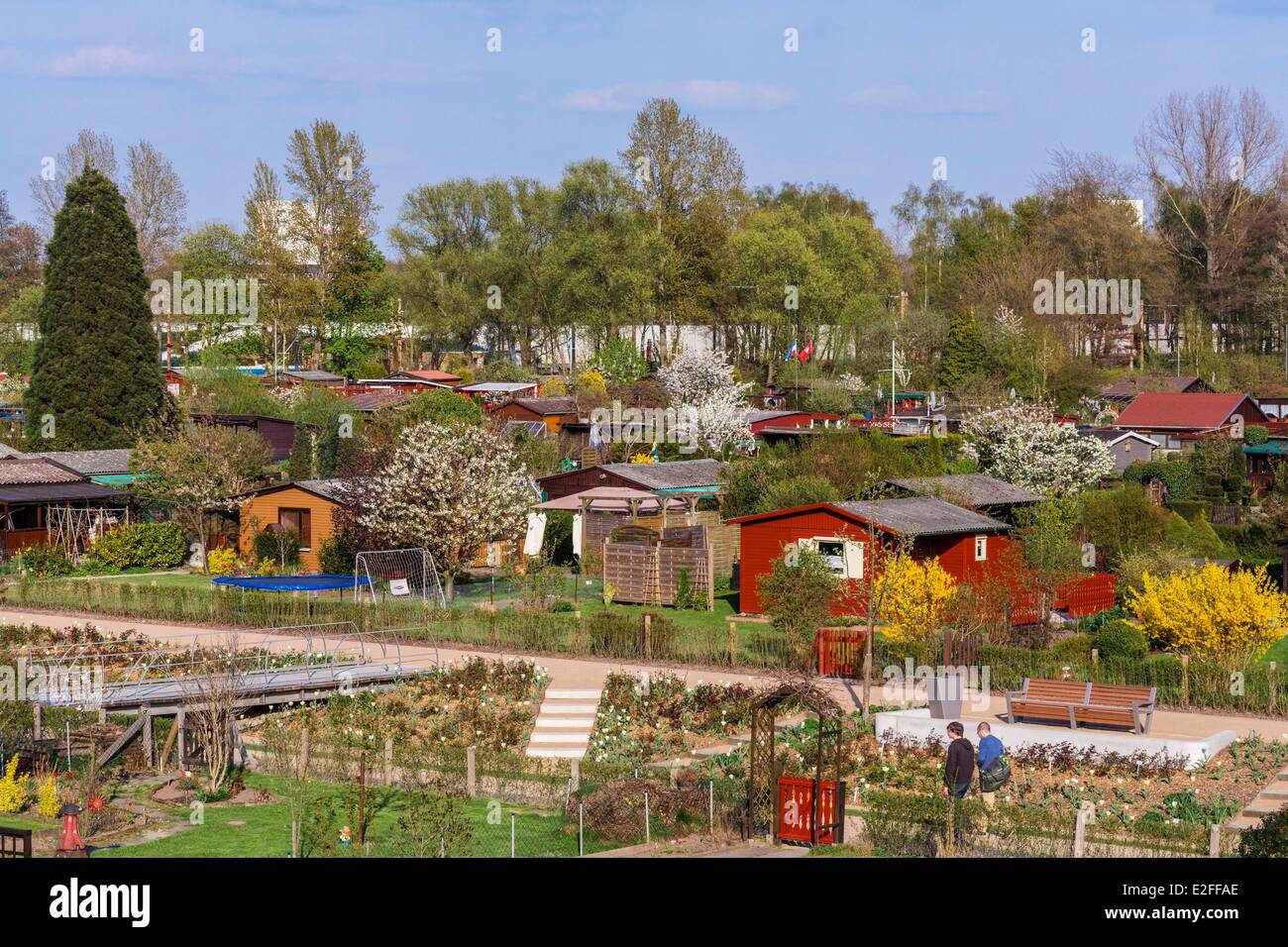 Germania, Amburgo, quartiere Wilhelmsburg, orto comunitario Foto Stock