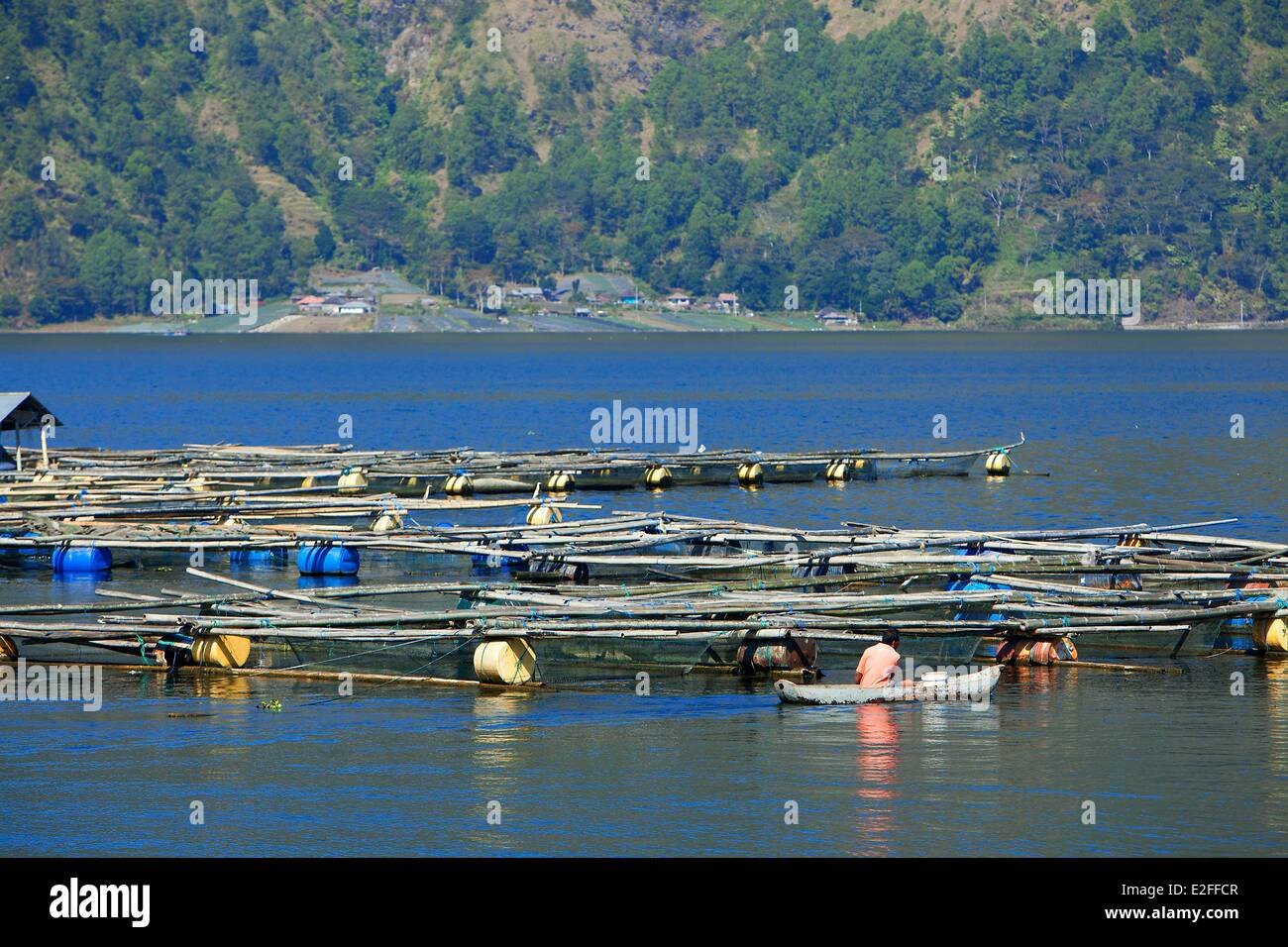 Indonesia, Bali, Kintamani area, Toya Bungkah, Lago Batur nella caldera di Gunung Batur Vulcano, allevamento del pesce Foto Stock