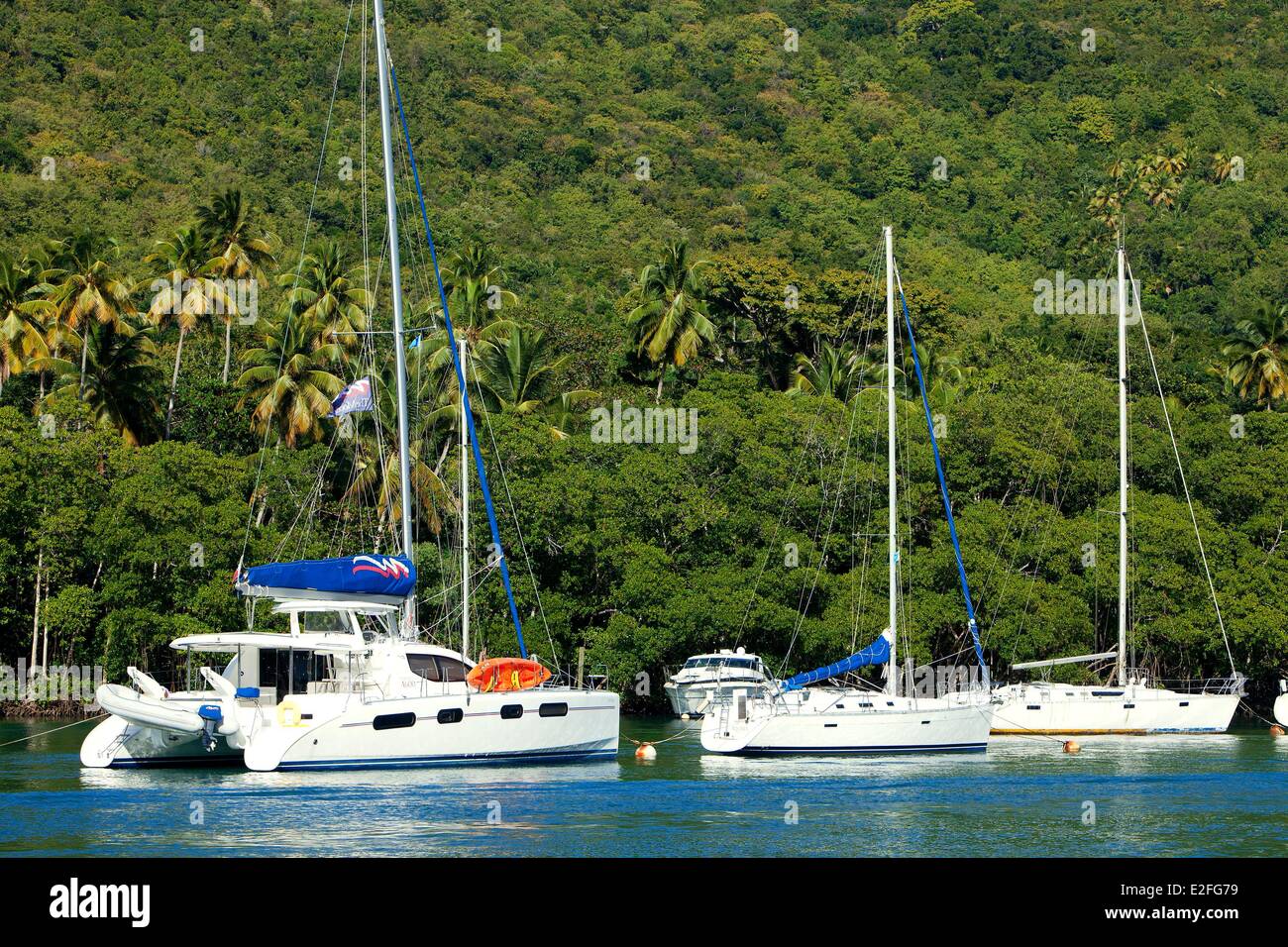 Indie Occidentali dei Caraibi, le Isole del Vento, Saint Lucia, Isola del nord, Castries distretto, Marigot Bay Foto Stock