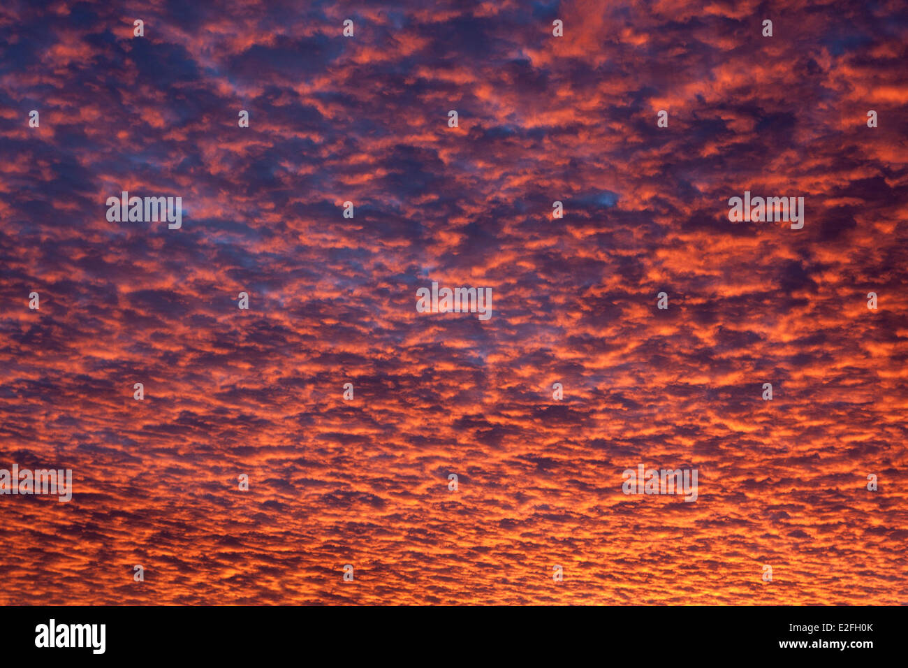 Inverno sunrise (Berkshire, Inghilterra) Foto Stock