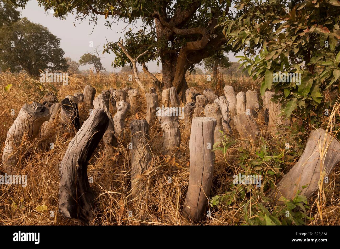 Il Ciad, il Sahel, Mayo Kebbi, tradizionale tomba del khela leader tribali Foto Stock