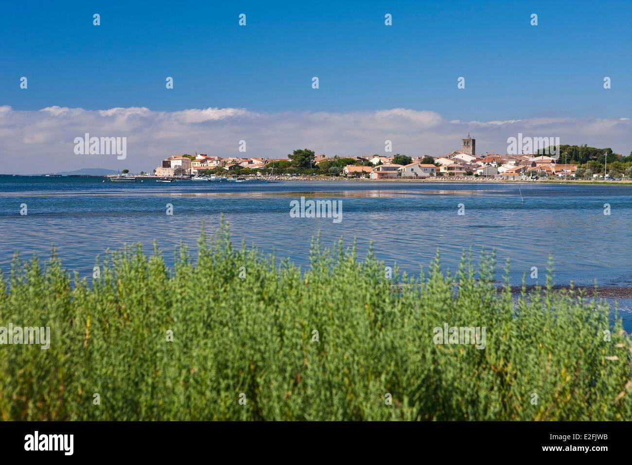 Francia, Herault, Bassin de Thau, Meze Foto Stock