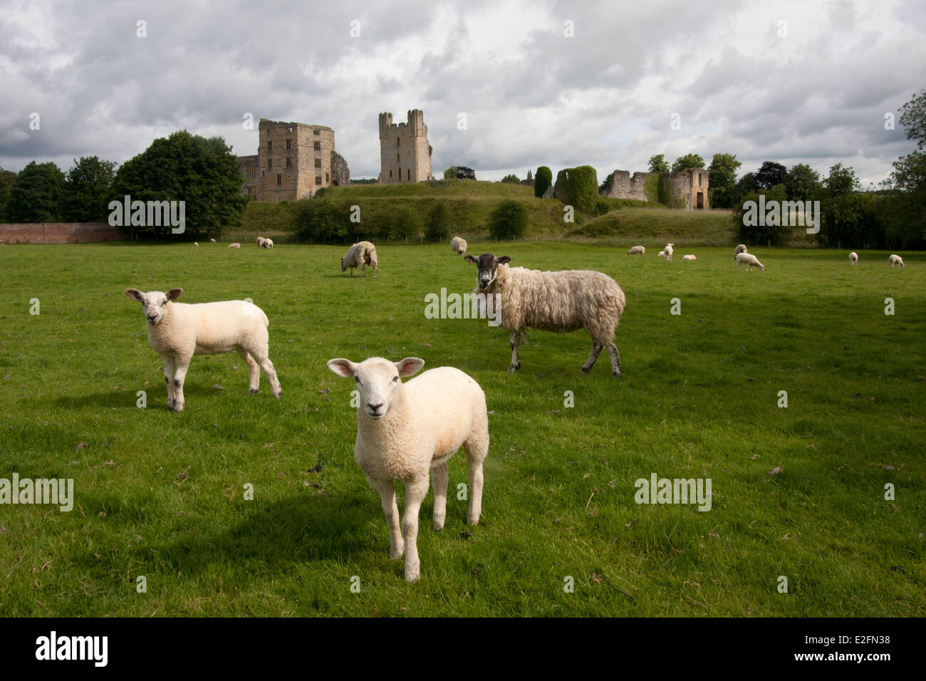 Castello di Helmsley, Dunscombe Park, North Yorkshire, Inghilterra Foto Stock