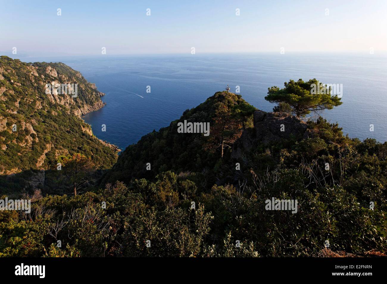 Italia Liguria Portofino Parco Naturale Paradisio Golfo Foto Stock
