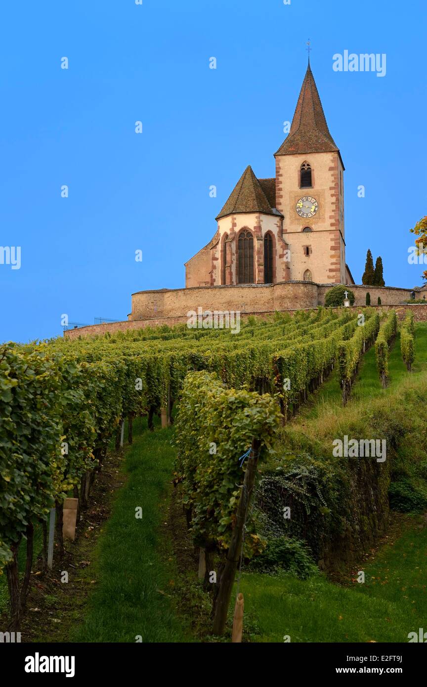 Francia Haut Rhin l'Alsazia strada del vino etichettato Hunawihr Les Plus Beaux Villages de France (i più bei villaggi di Foto Stock