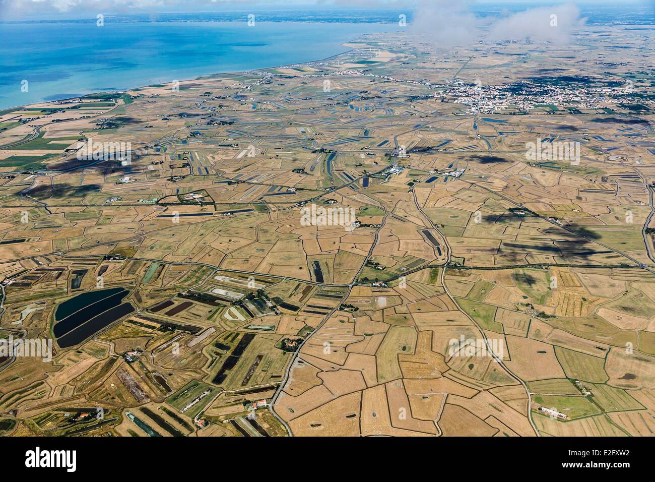 Francia Vendee La Barre de Monts le paludi (vista aerea) Foto Stock