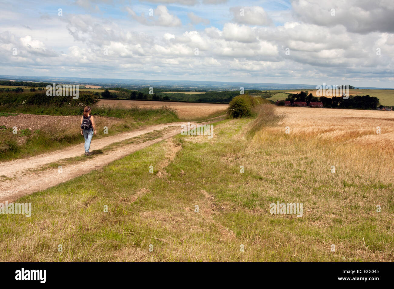 Donna che cammina sul Wolds Way nr Malton, North Yorkshire Foto Stock