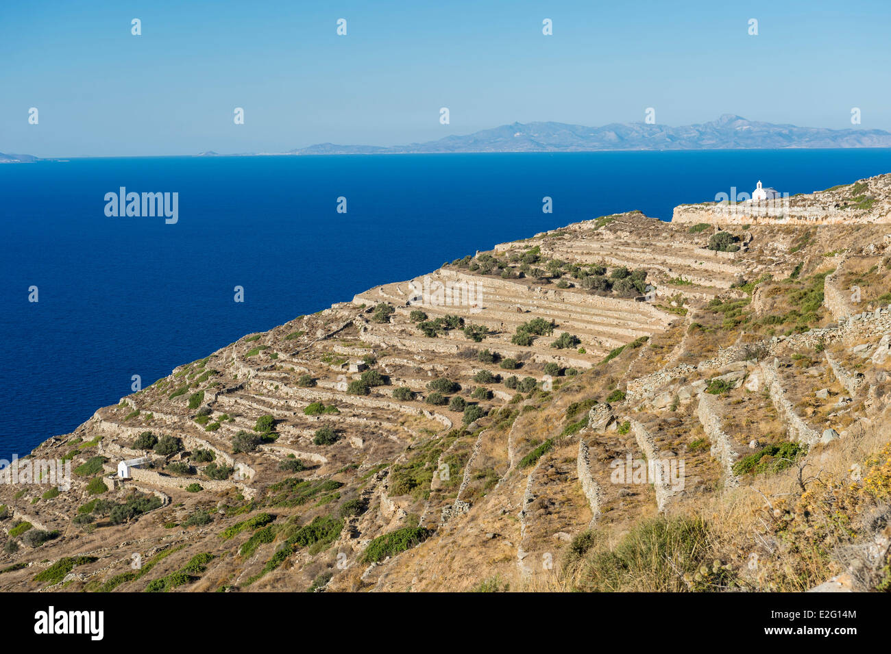 Grecia CICLADI Sikinos isola coltivazioni a terrazza Foto Stock