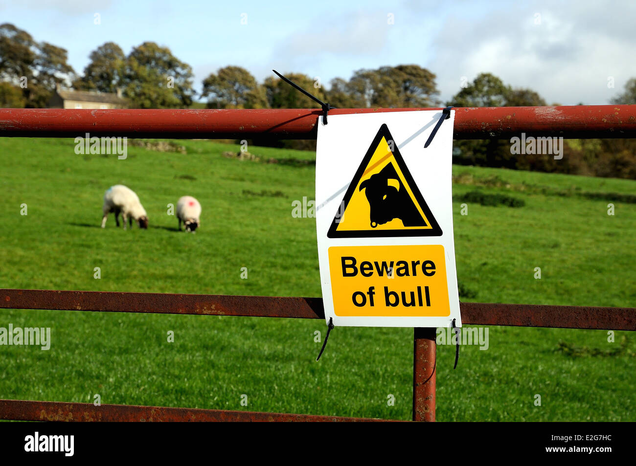 Attenzione di bull segno sulla fattoria Foto Stock