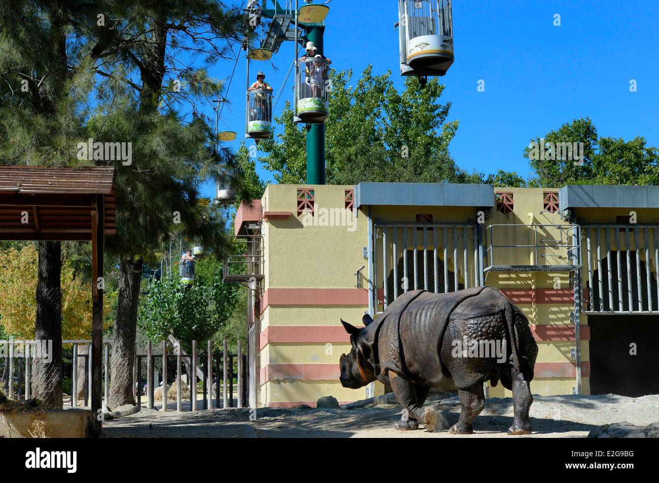 Portogallo Lisbona il giardino zoologico maggiore il rinoceronte indiano (Rhinoceros unicornis) e funivie che andare in giro per lo zoo Foto Stock