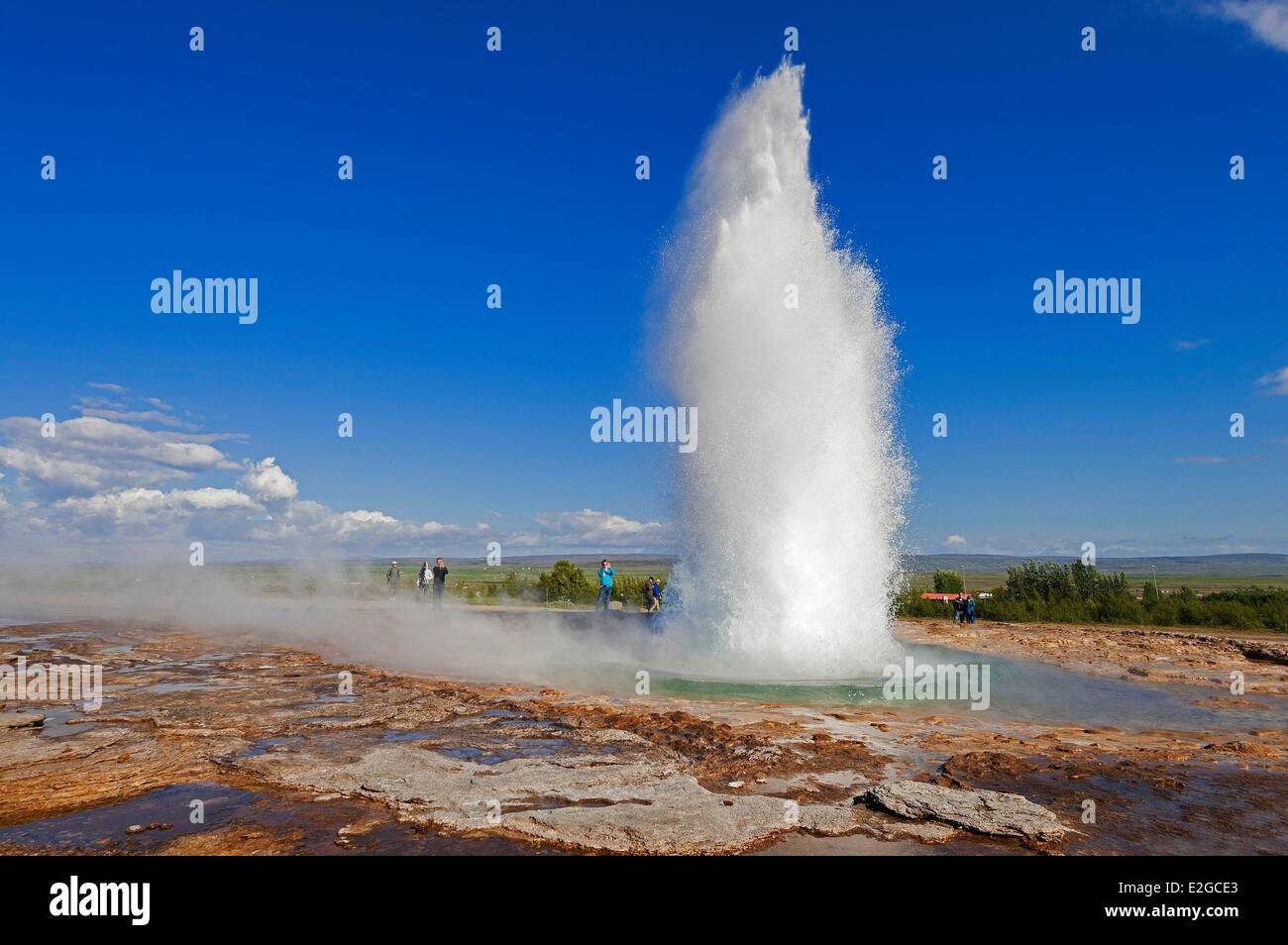 Islanda Sudurland Regione Valle Haukadalur Geysir geyser del sito Foto Stock