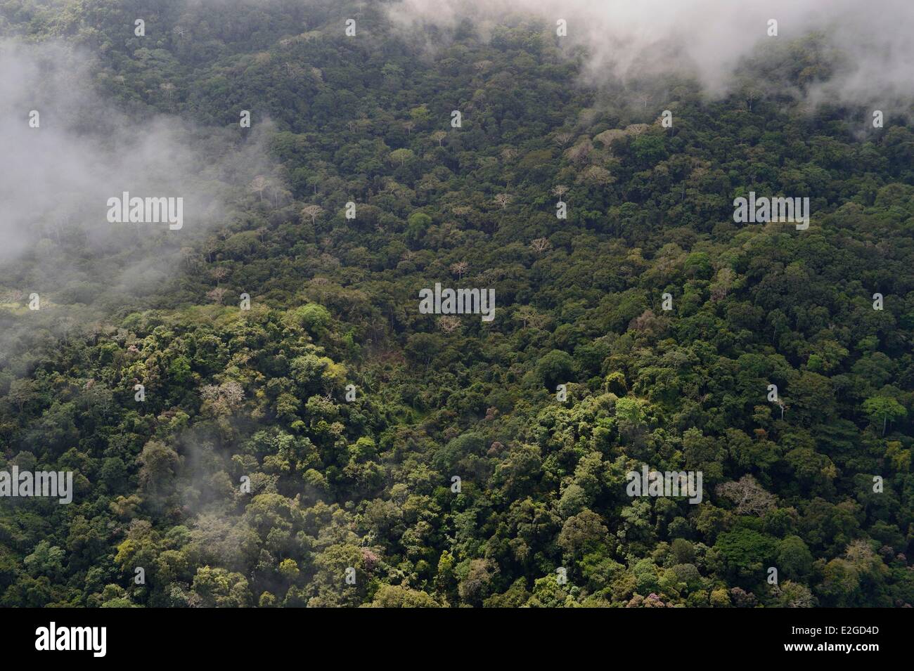 Panama rainforest vicino al Canale di Panama (vista aerea) Foto Stock