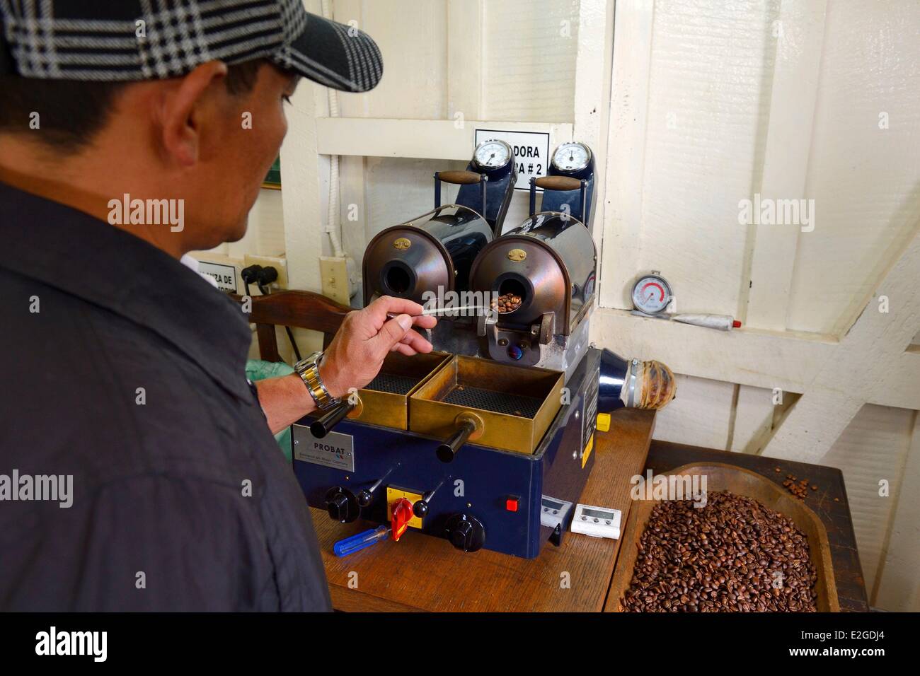 Panama Chiriqui provincia Boquete piantagione di caffè Finca Lerida tostatura i chicchi di caffè Foto Stock