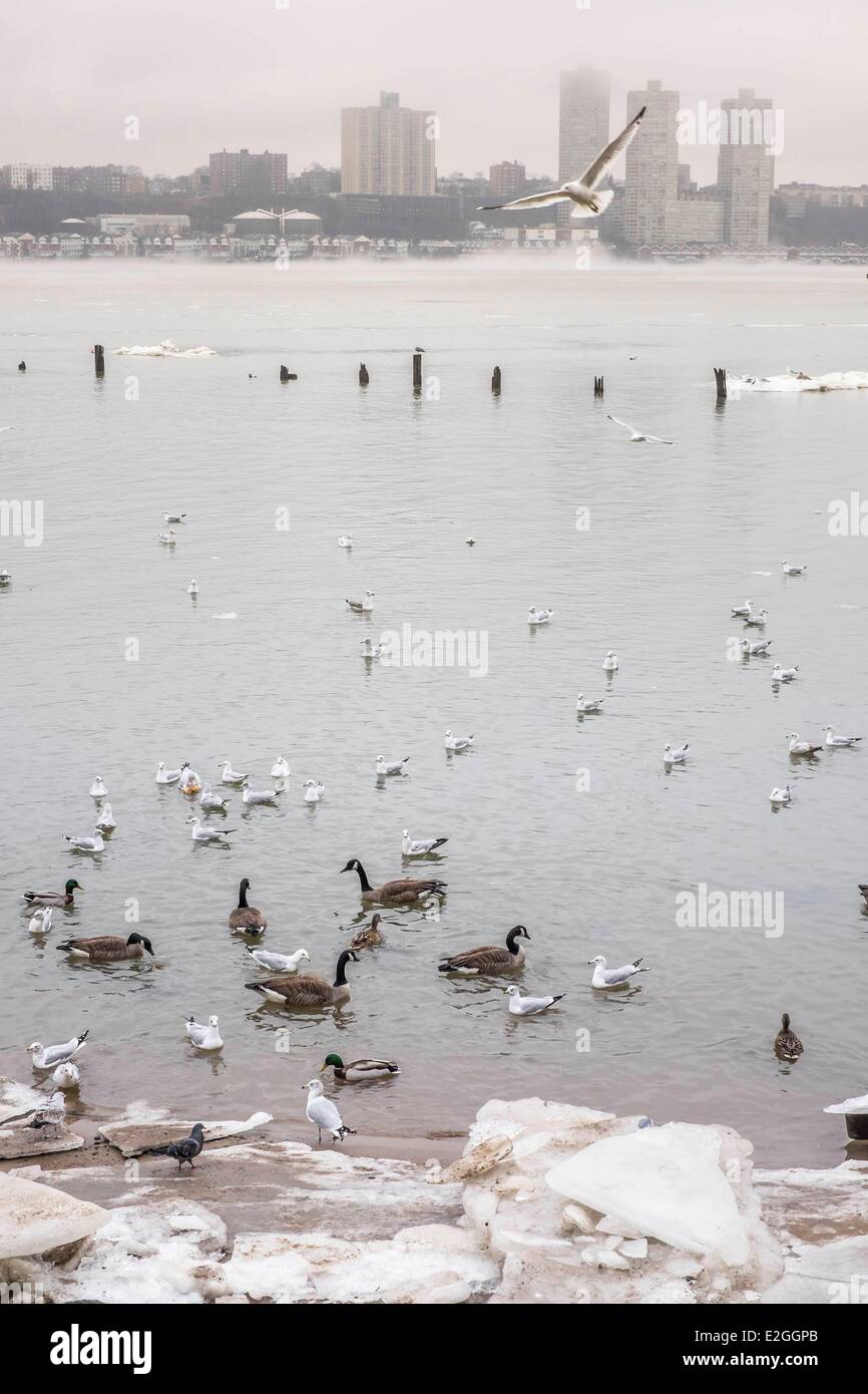 Stati Uniti New York Manhattan Riverside Park tra il fiume Hudson e Riverside Drive Foto Stock