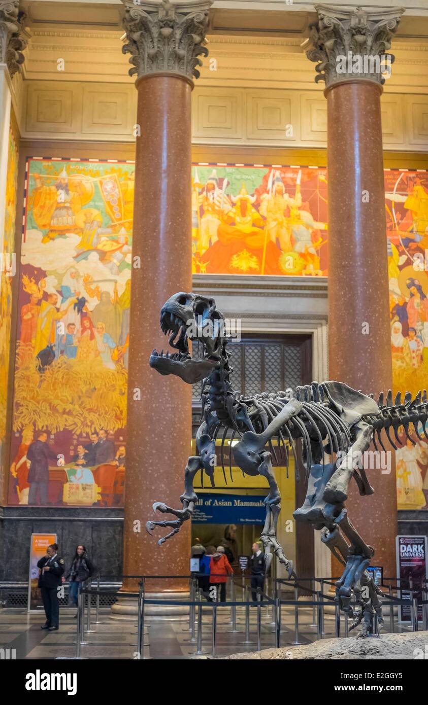 Stati Uniti New York Manhattan Upper West Side il Museo Americano di Storia Naturale scheletro di dinosauro Foto Stock