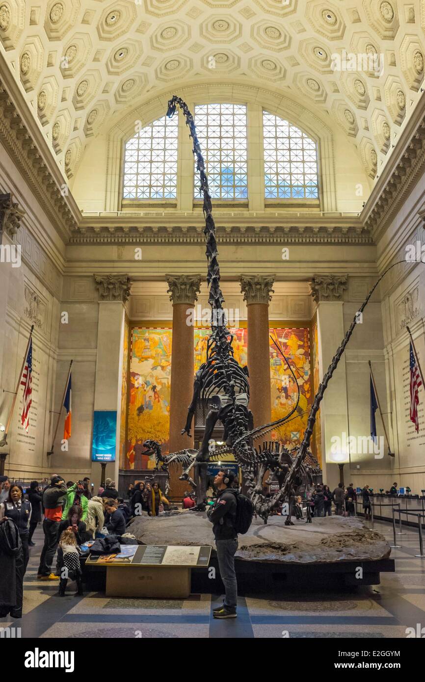 Stati Uniti New York Manhattan Upper West Side il Museo Americano di Storia Naturale scheletro di dinosauro Foto Stock