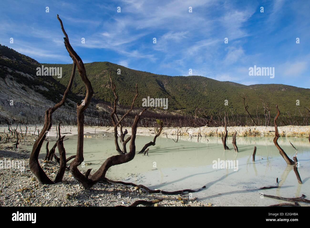Indonesia Isola di Giava Ovest Java provincia vulcano Papandayan (2665m) Foto Stock