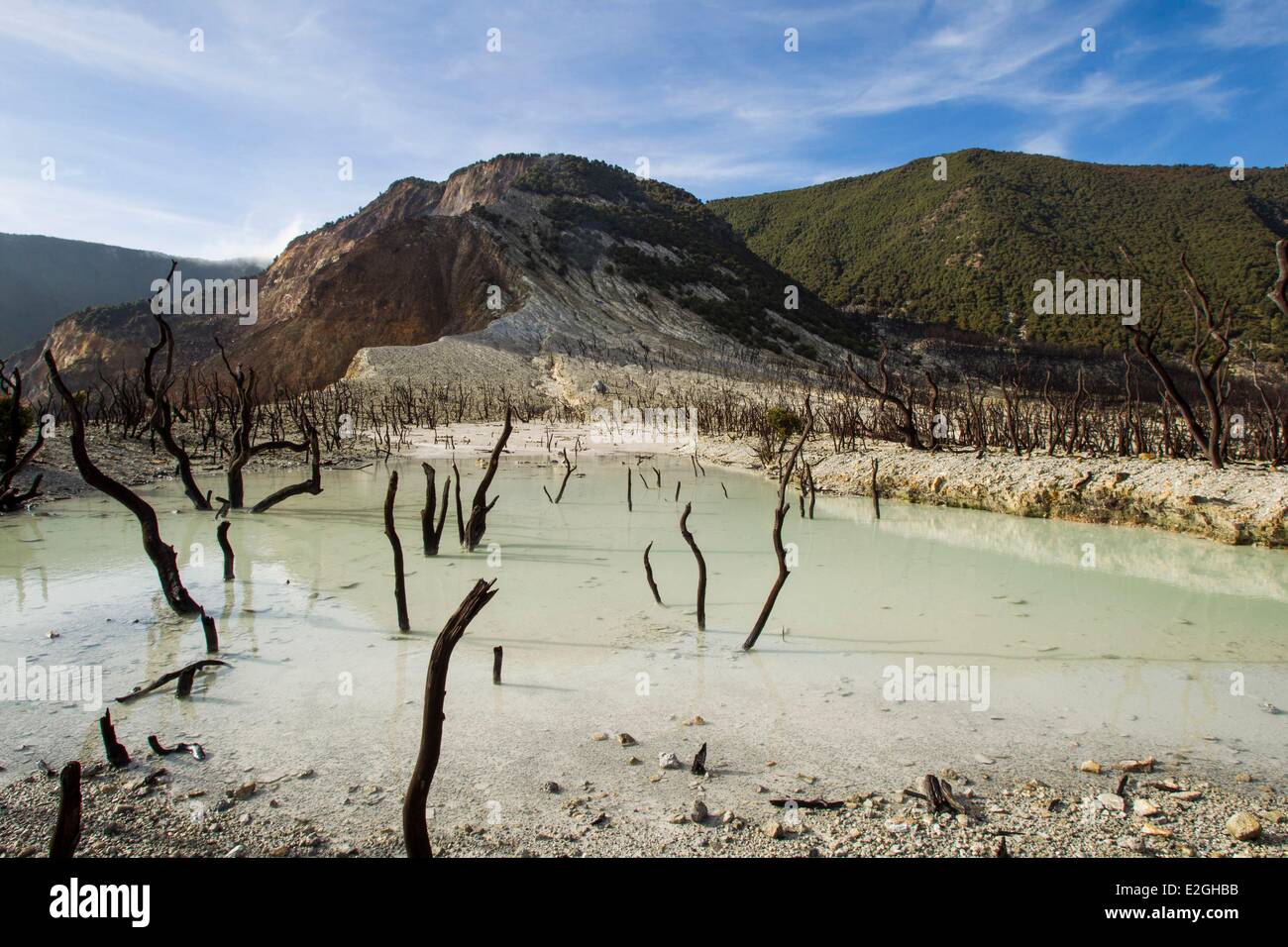 Indonesia Isola di Giava Ovest Java provincia vulcano Papandayan (2665m) Foto Stock