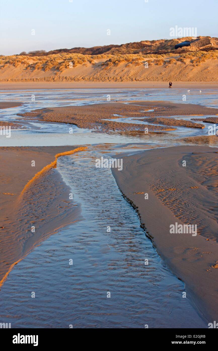 Francia Pas de Calais Côte d'Opale Parc naturel regional des Caps et Marais d'Opale Wissant Bay Escalles Foto Stock