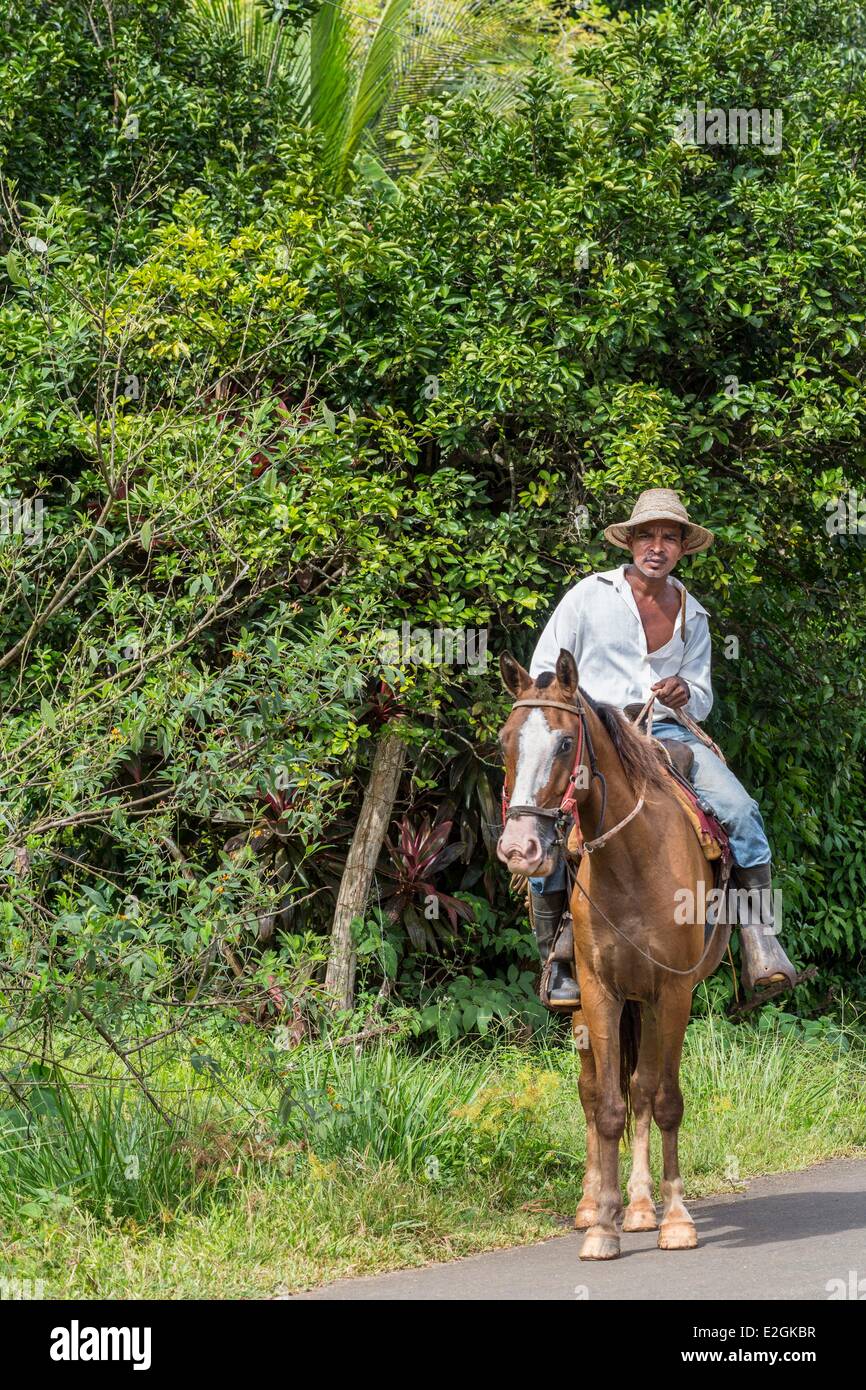 Panama Colon provincia Portobelo agricoltore cavallo Foto Stock