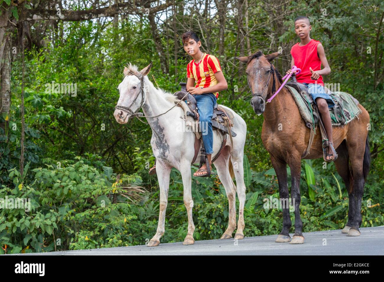 Panama Colon provincia Portobelo giovane cavallo Foto Stock