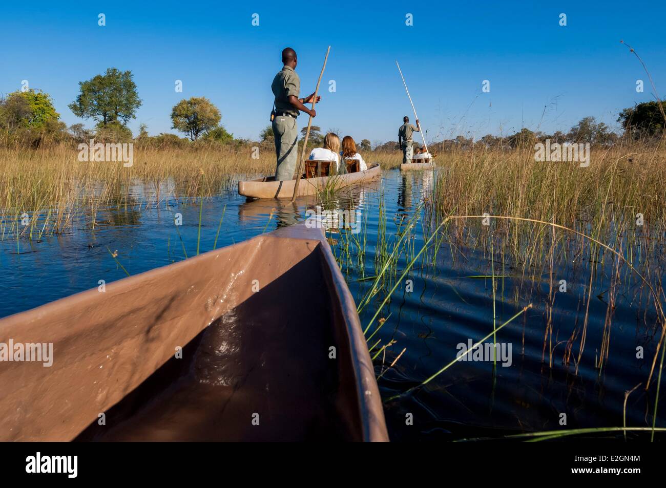 Il Botswana nord ovest District Okavango Delta Abu Lodge safari Foto Stock