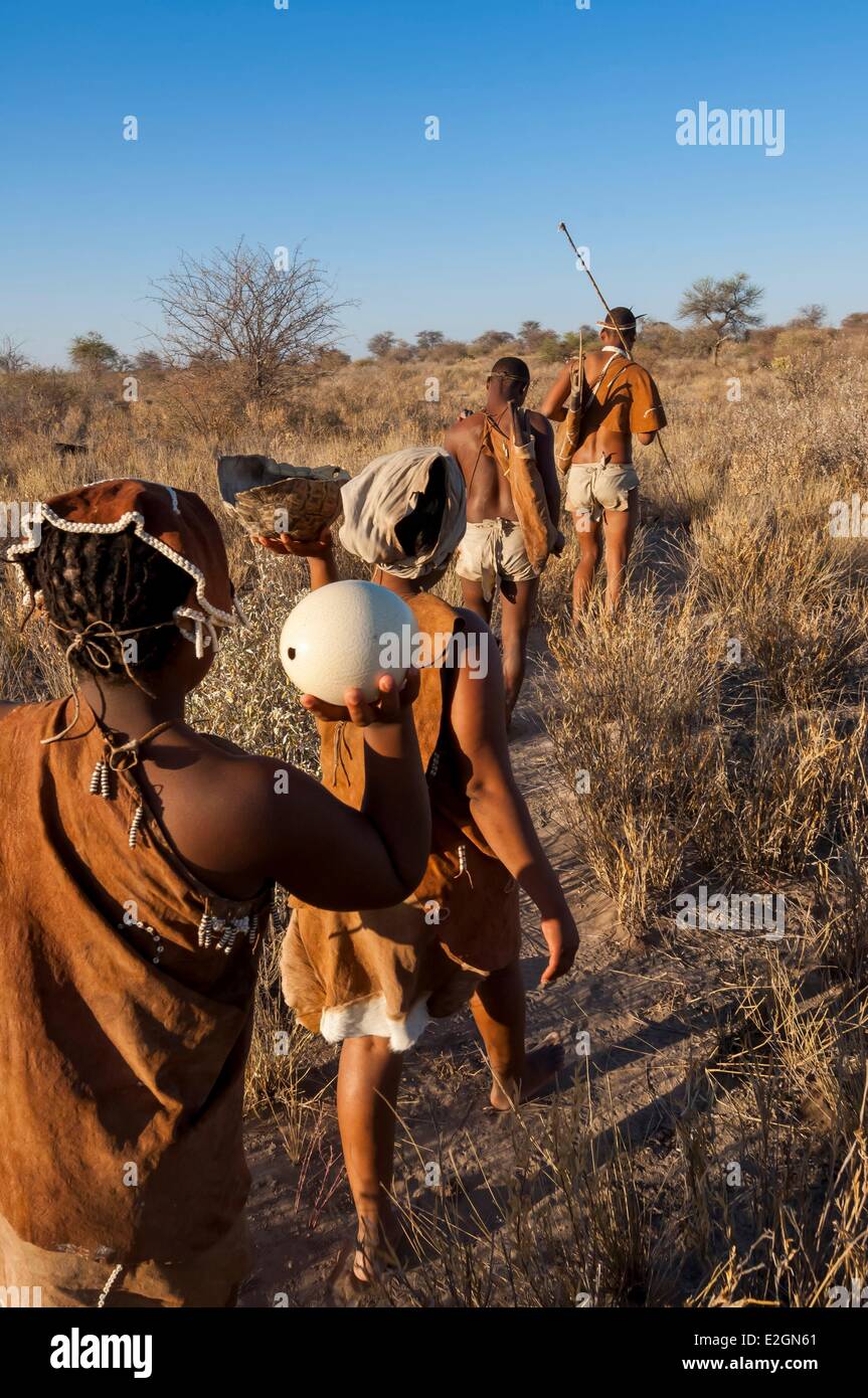 Il Botswana Central Kalahari Game Reserve pianure del Kalahari Camp Wilderness Safari Lodge educational a piedi con i Boscimani Foto Stock