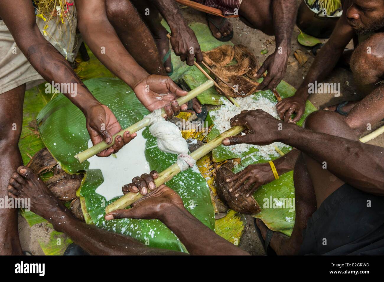 Papua Nuova Guinea arcipelago di Bismarck Penisola Gazelle nuova isola Gran Bretagna East New Britain provincia Rabaul Duca di York Arcipelago isola Mualim preparazione di olio di noce di cocco utilizzata durante una cerimonia con un Duk duk Tarayu in luogo segreto consentita solo per il file ini Foto Stock